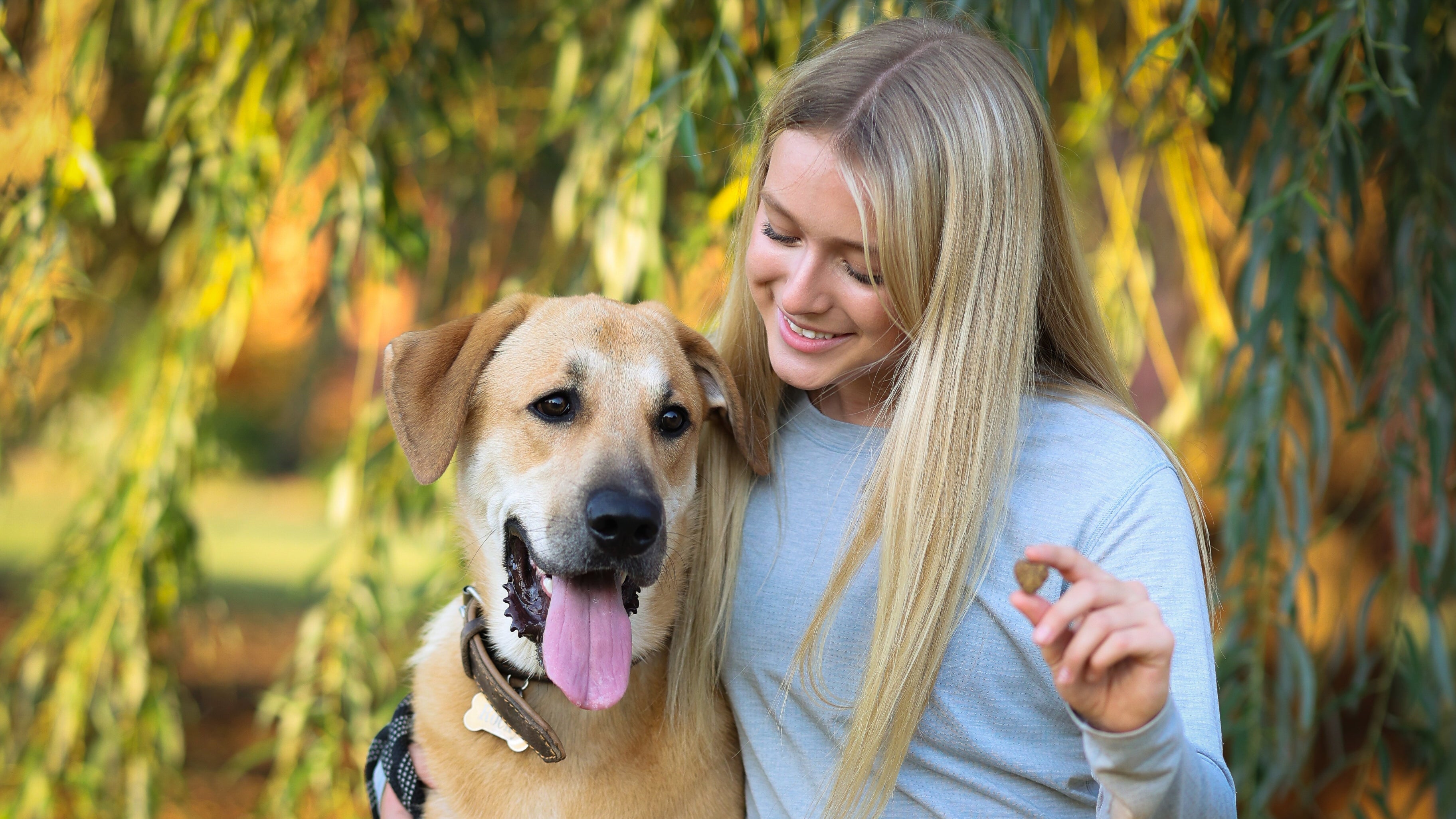 How to Stop Your Dog From Barking
