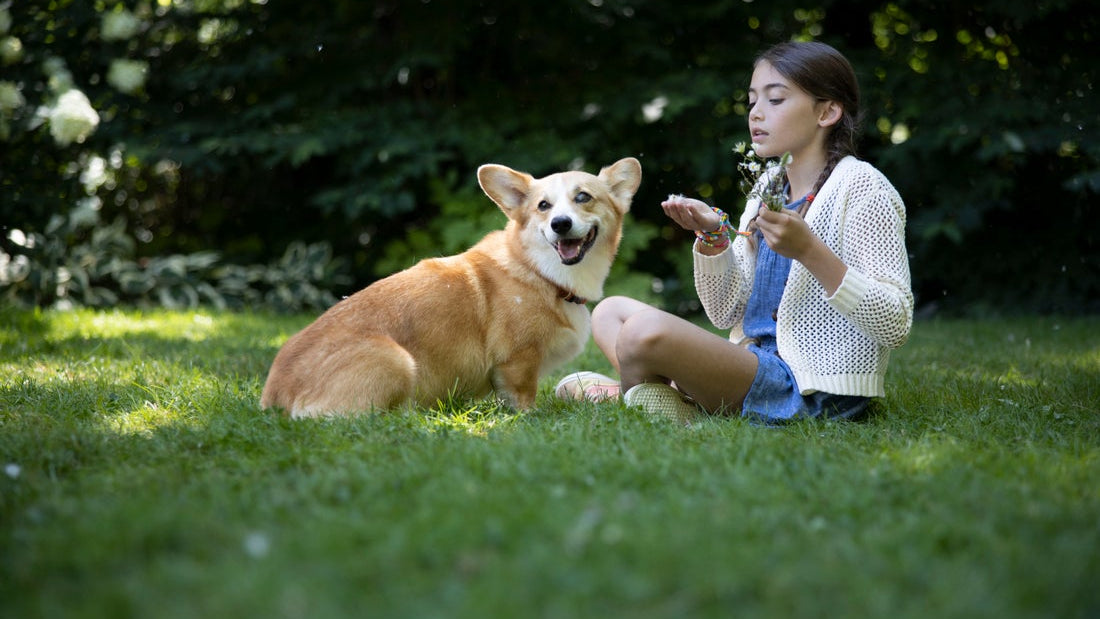 How to Help Your Dog Adjust to a New Routine