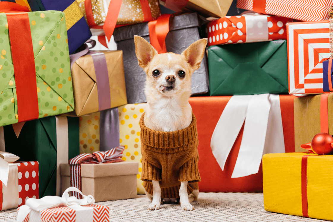 Do You Buy Your Dog Holiday Gifts? - Vetstreet