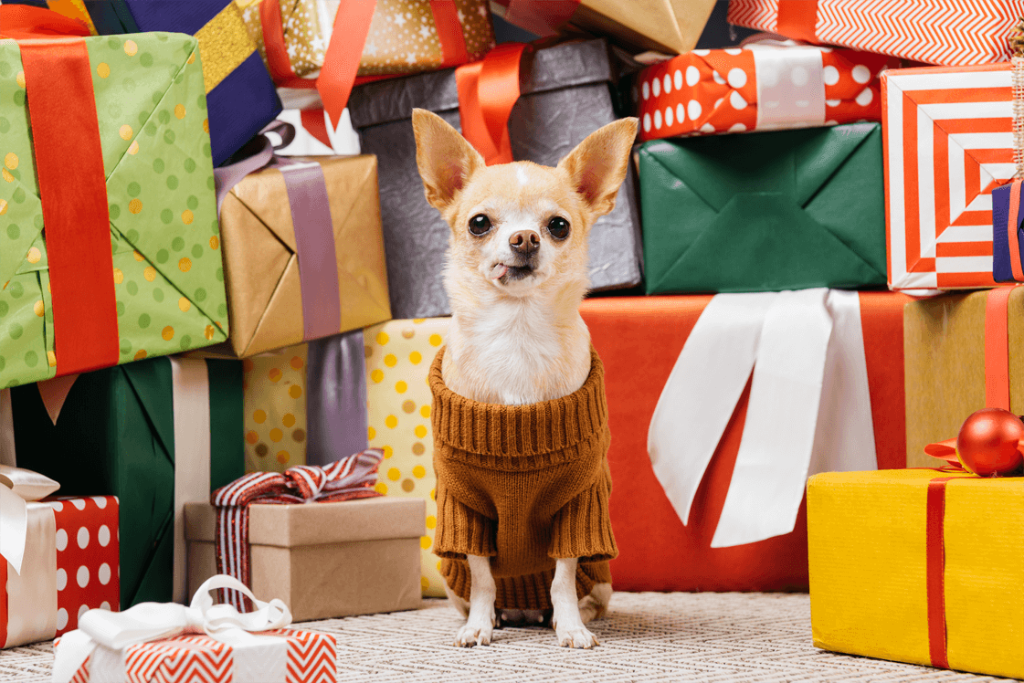 Dog present ideas clearance
