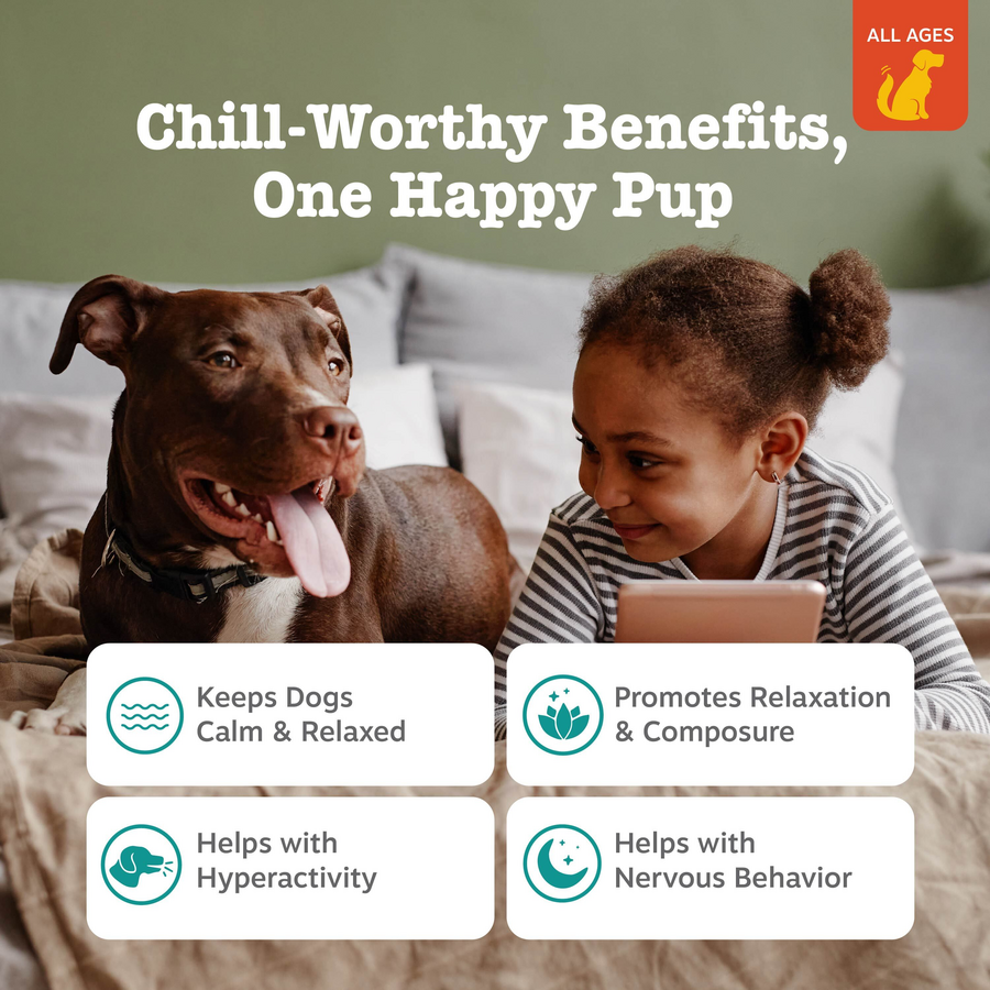 Lil' Zesties™ Calming Squares™ for Dogs