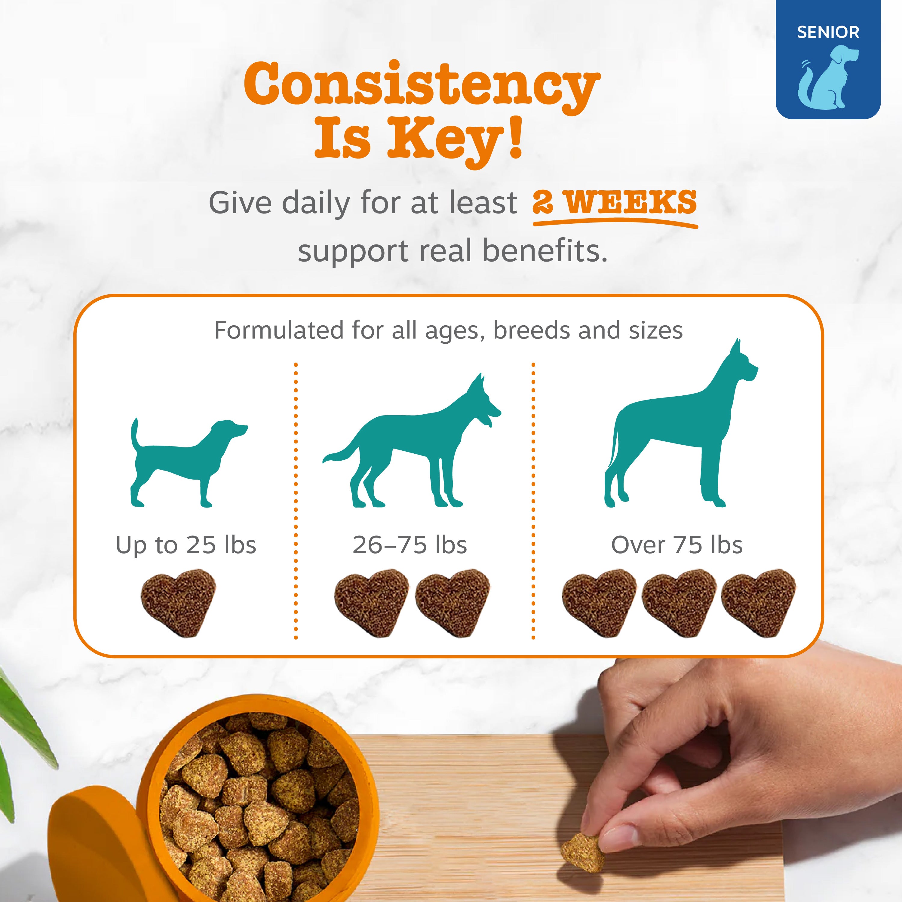 Senior Advanced Cognition Bites™ for Senior Dogs