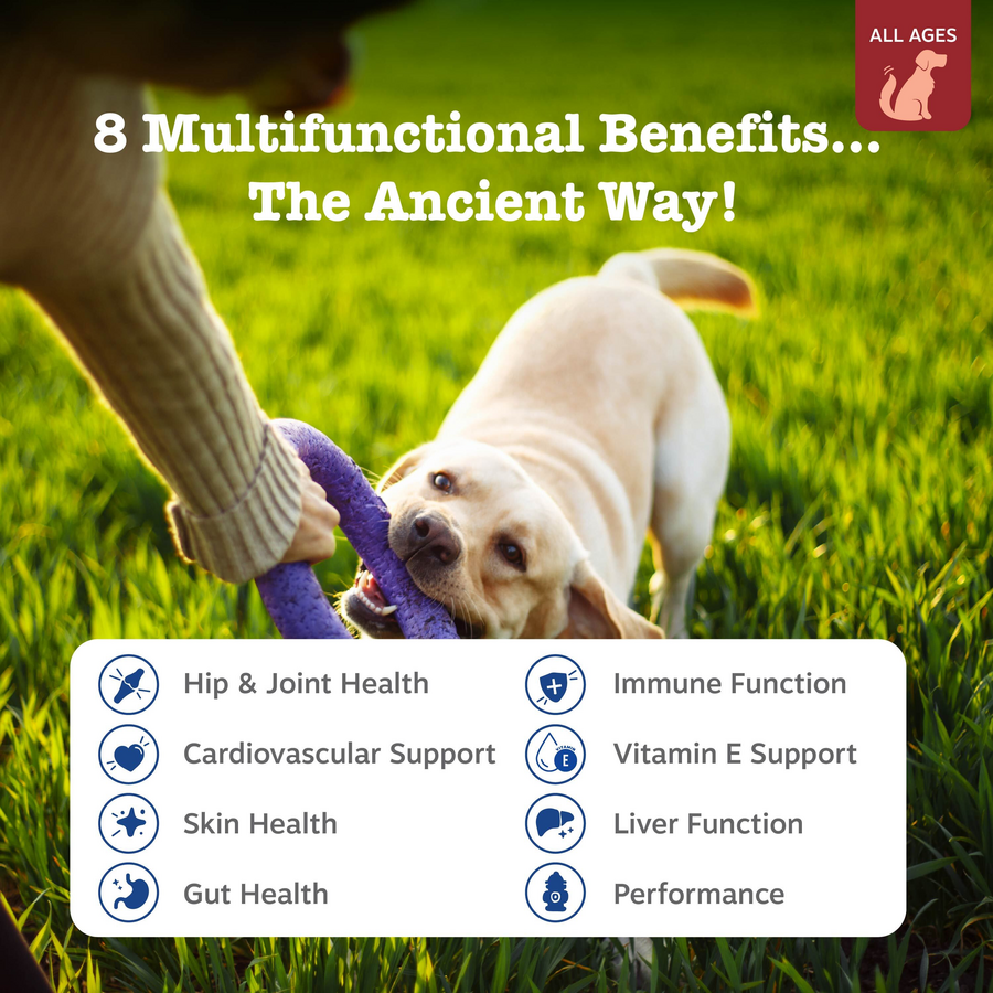 Ancient Elements™ 8-in-1 Multifunctional Bites™ for Dogs