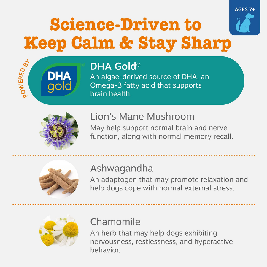 Calming & Cognition Bites™ for Senior Dogs