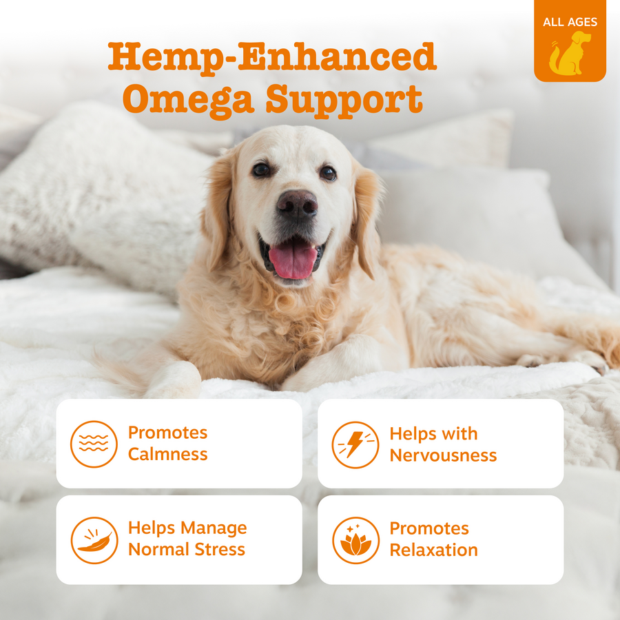 Hemp Elements™ Calming Bites™ for Dogs