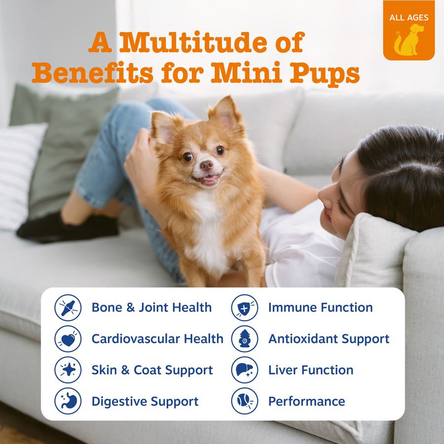 8-in-1 Multivitamin Mini Bites for Small Dogs