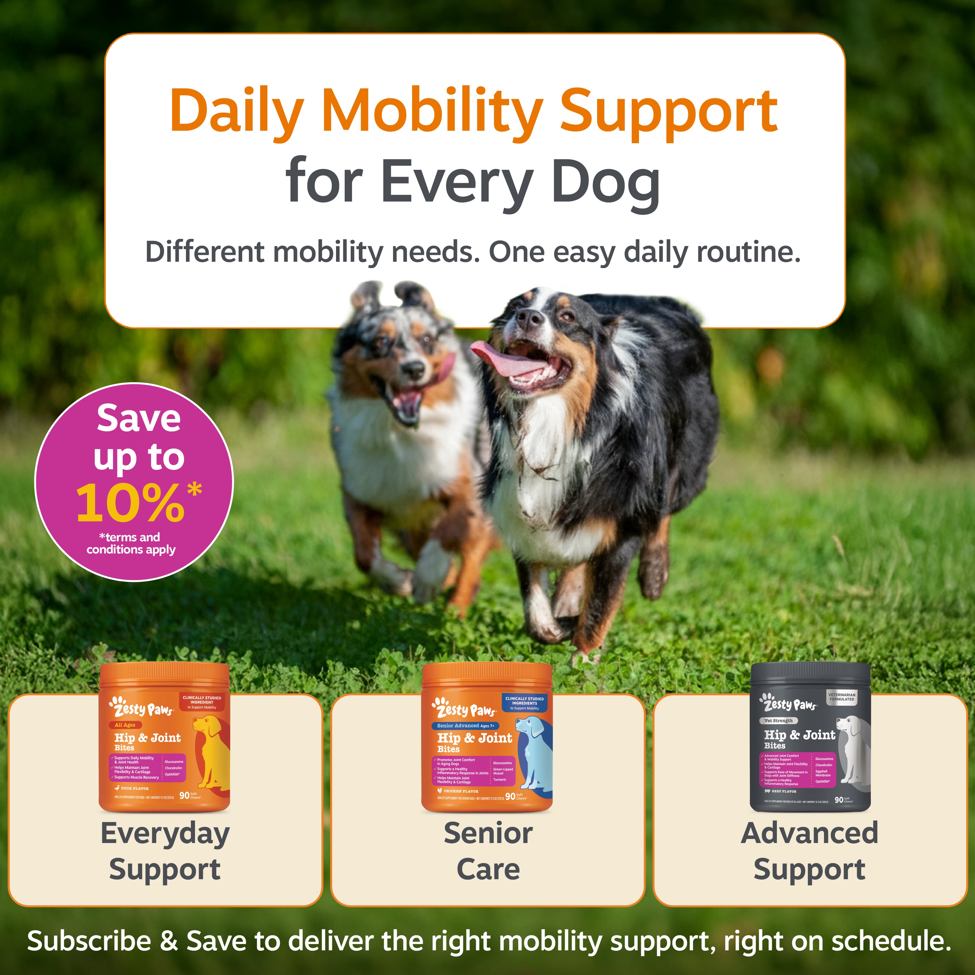 Vet Strength Hip & Joint Bites for Dogs