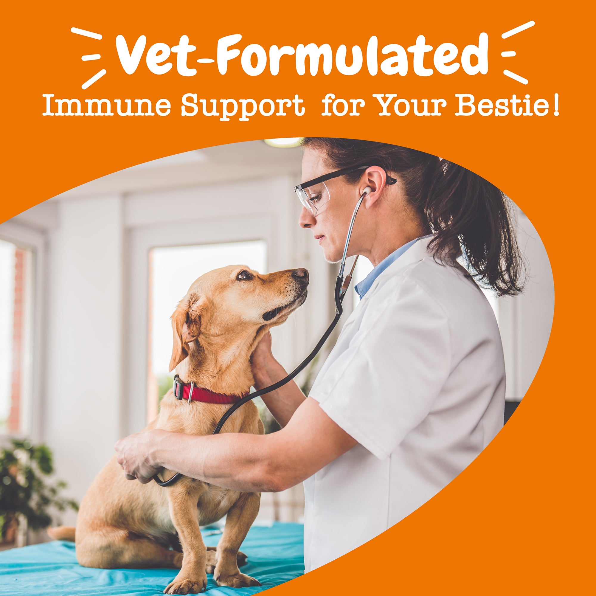 Vet Strength Allergy & Immune Bites™ for Dogs