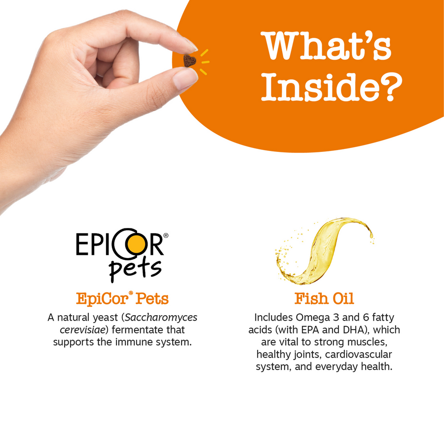 All-in-One Training Bites for Dogs