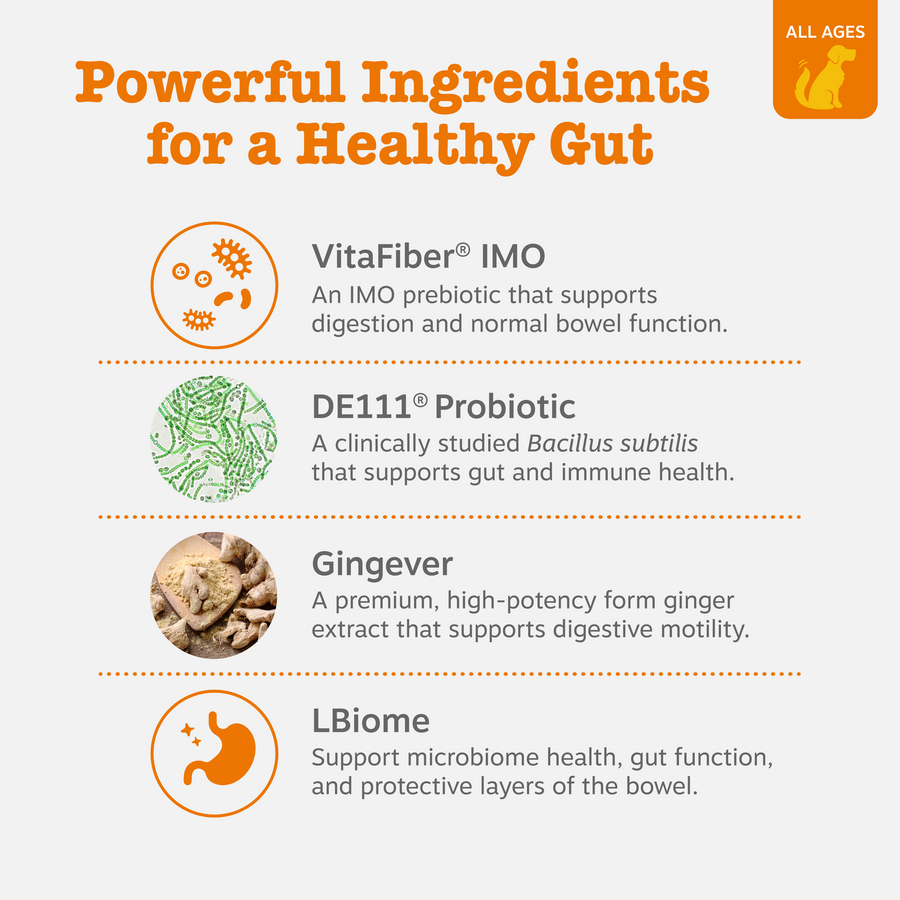 Vet Strength Pre, Post & Probiotic Bites™ for Dogs