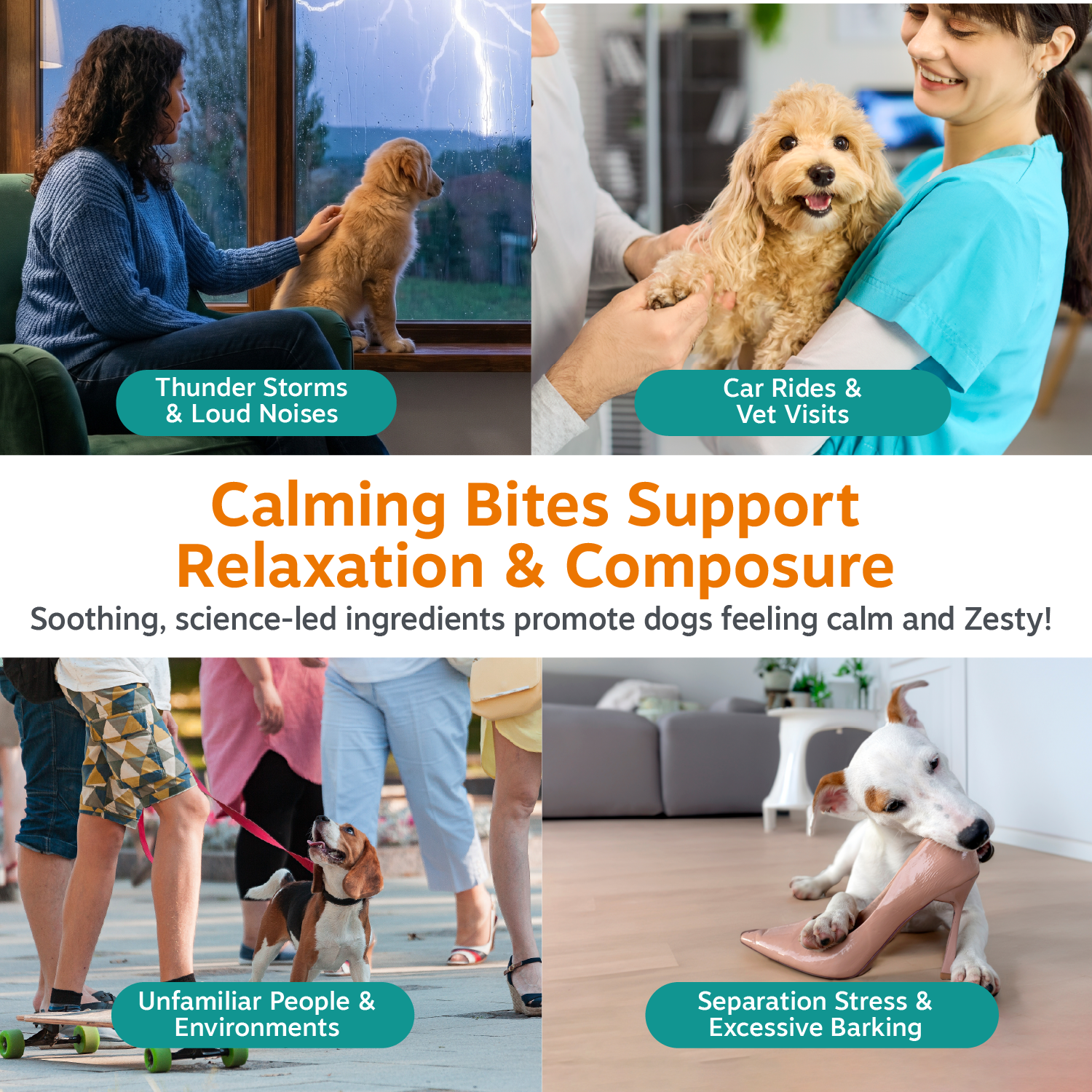 Calming Bites™ for Puppies