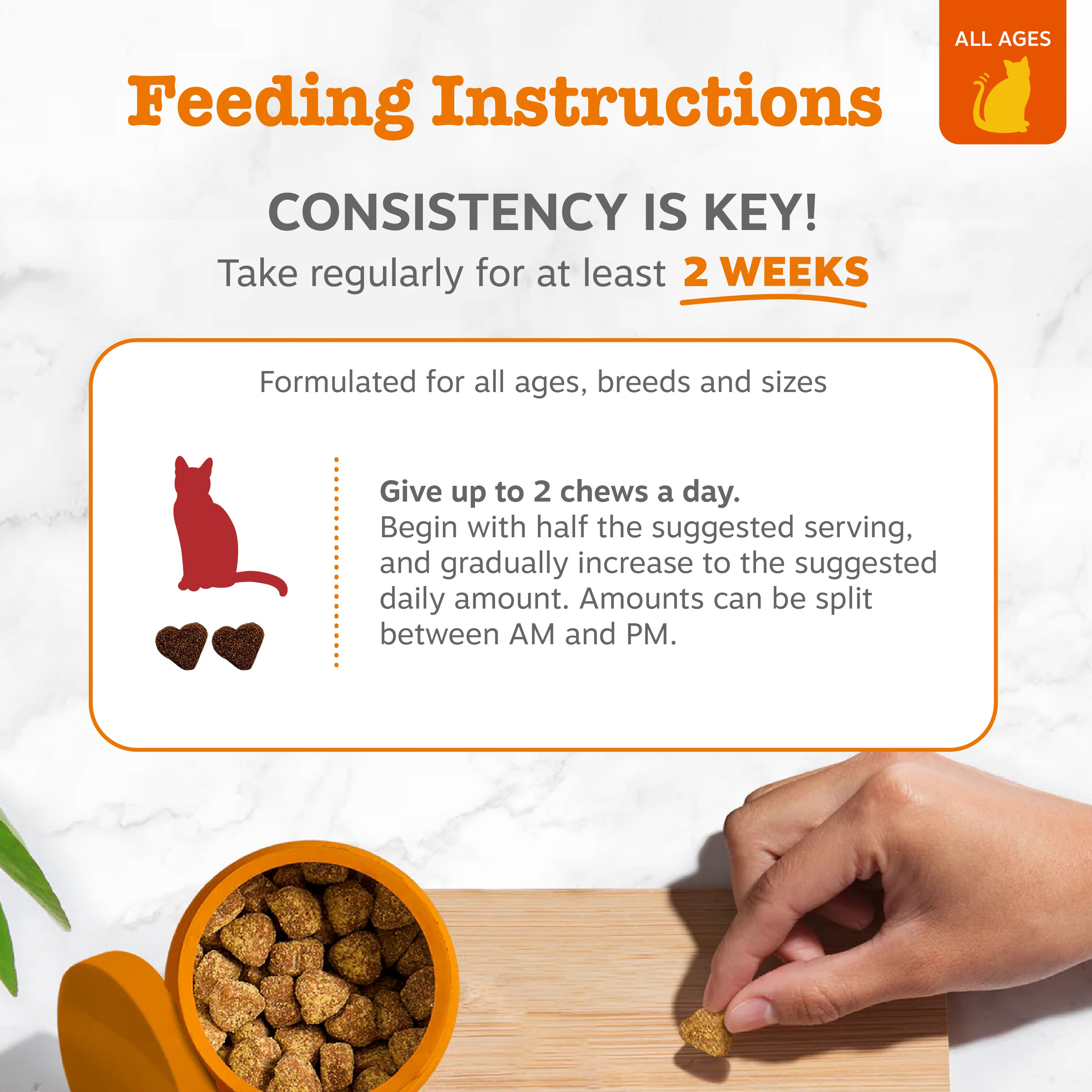 Feeding instructions card showing cat silhouette, heart-shaped treats, orange bowl, and hand holding single treat on wooden s