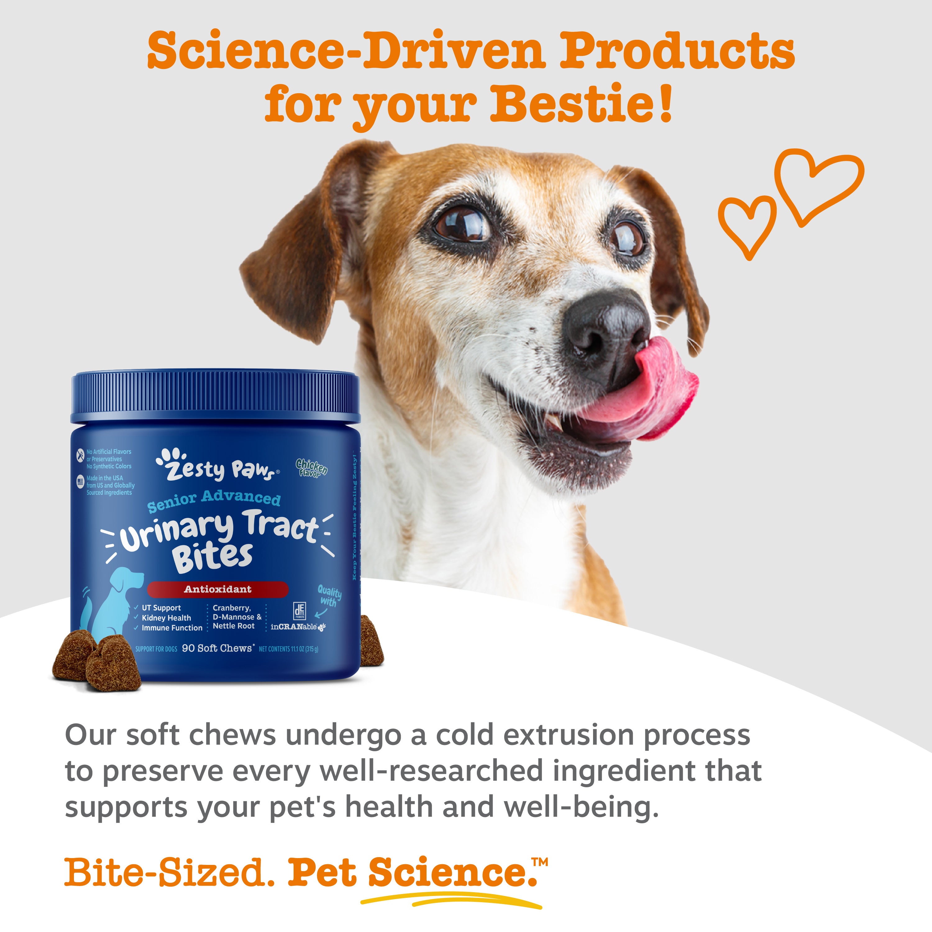 Senior Advanced Urinary Tract Bites for Dogs