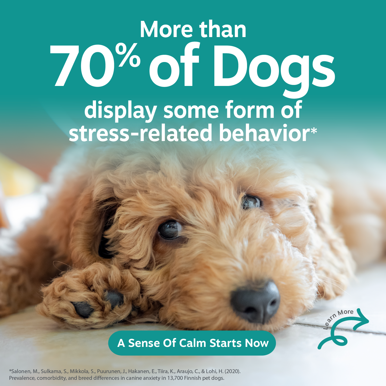 Vet Strength Calming Bites for Dogs