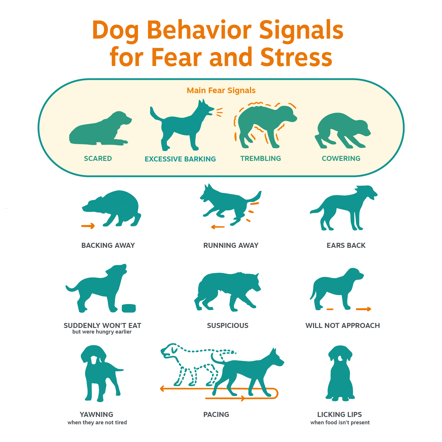 Vet Strength Calming Bites for Dogs