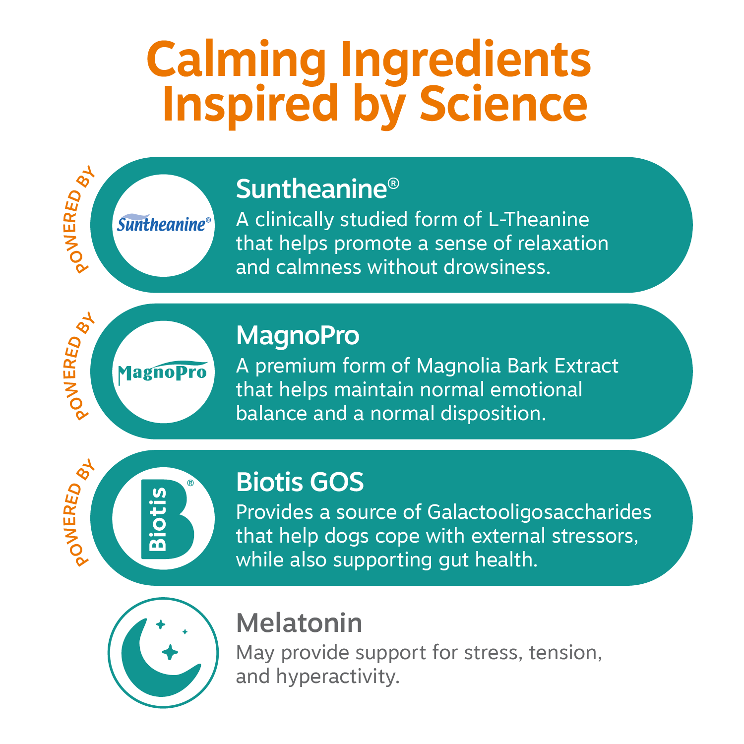 Vet Strength Calming Bites for Dogs
