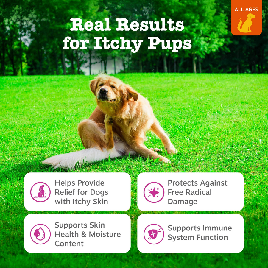 Itch Relief Bites for Dogs