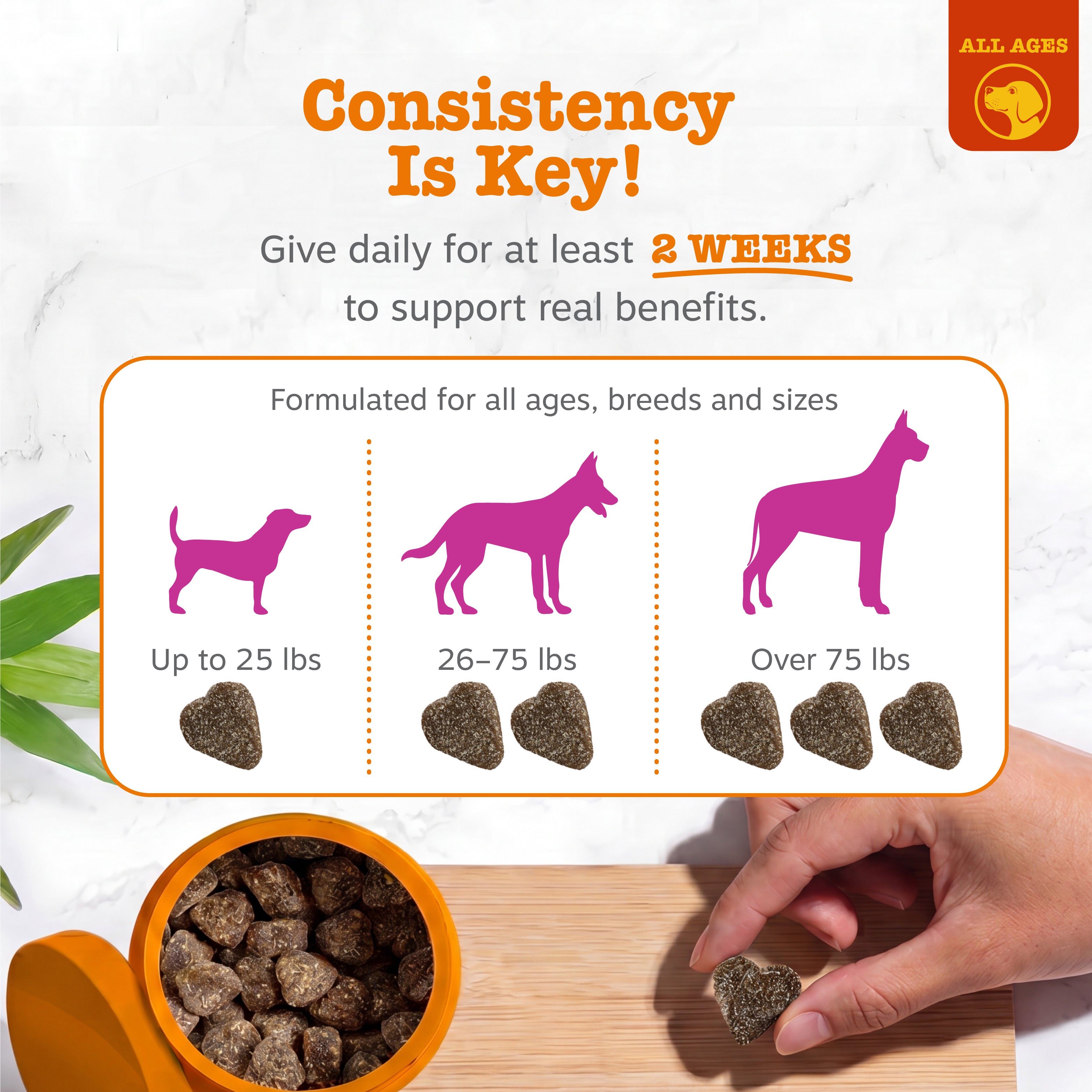 Hip & Joint Bites for Dogs