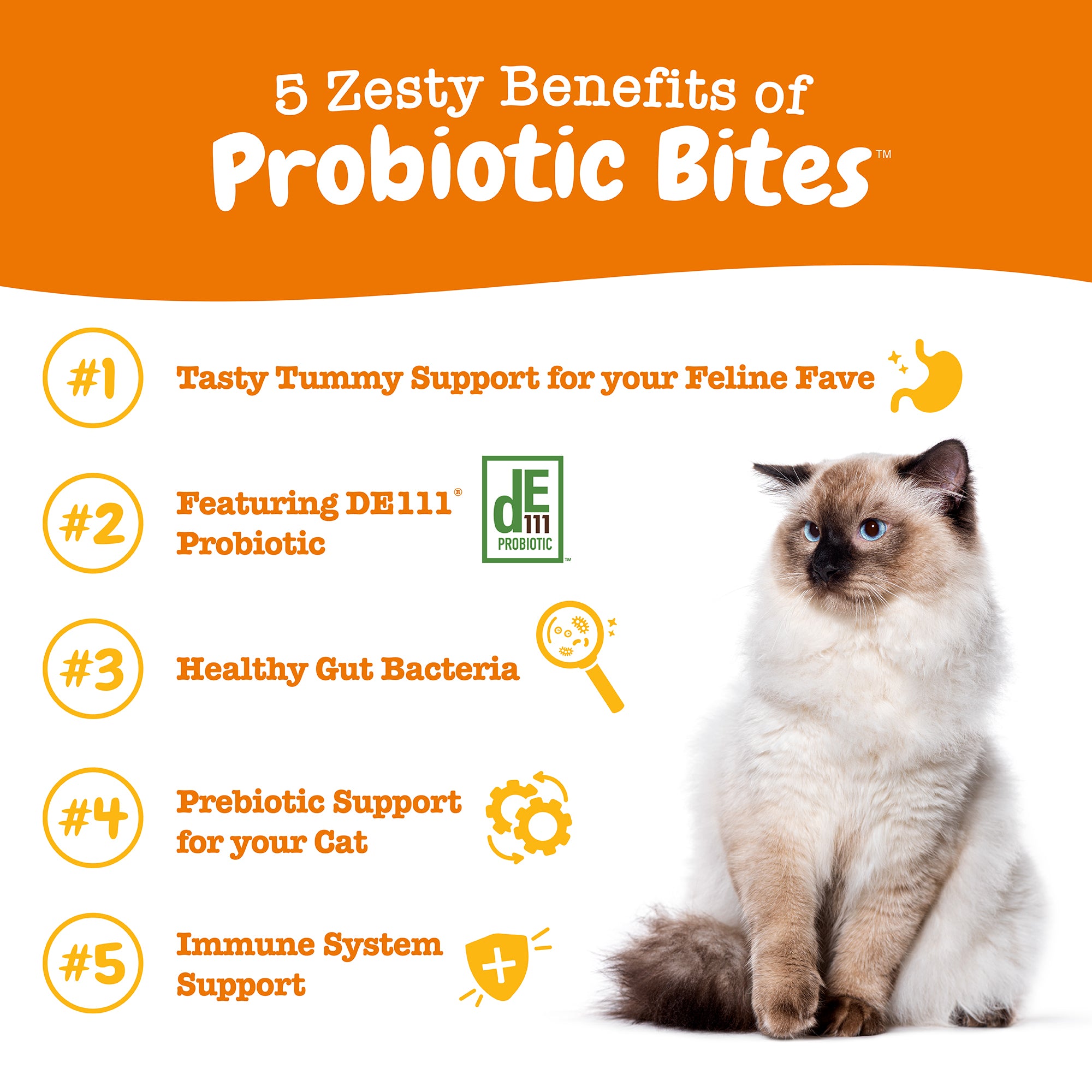 Probiotic Bites For Cats