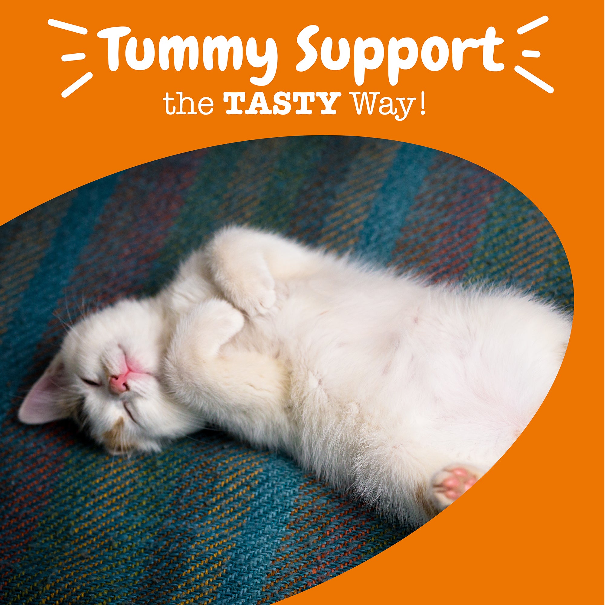 Probiotic Bites For Cats