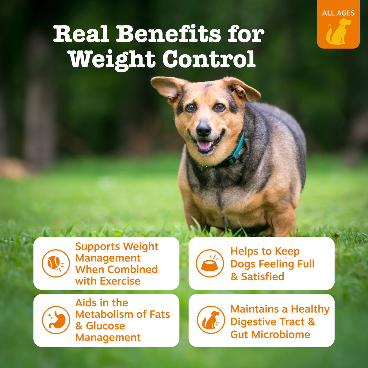 Vet Strength™ Weight Management Bites