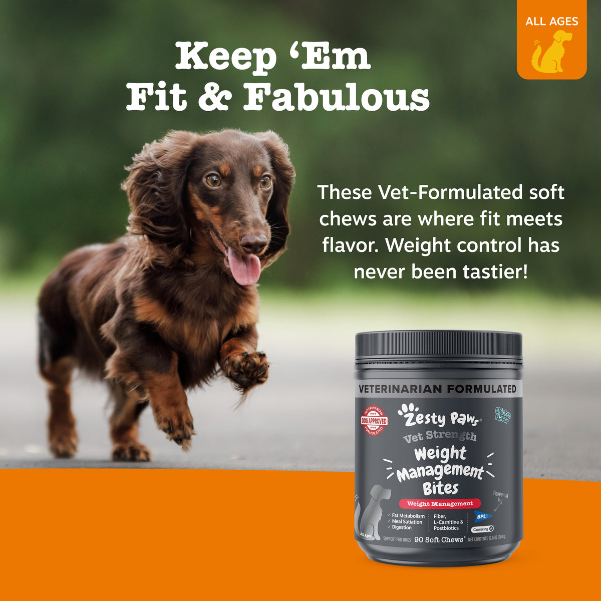 Vet Strength™ Weight Management Bites