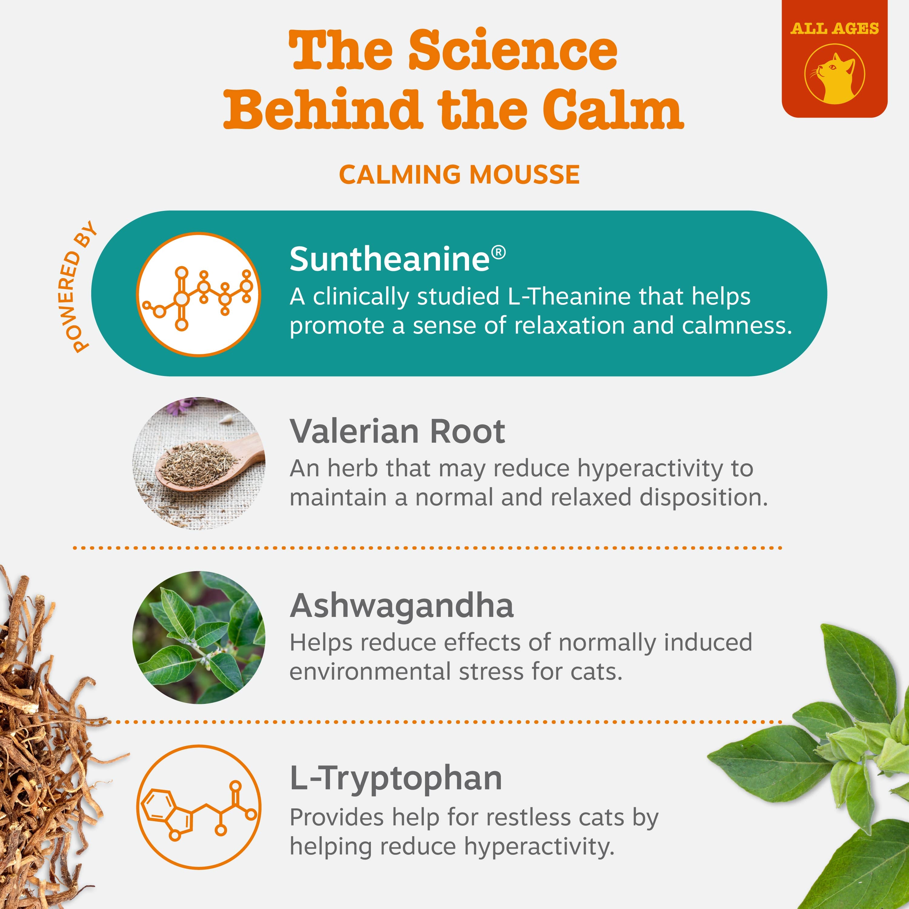 Diffuser Refill + Calming Mousse | Bundle for Cats