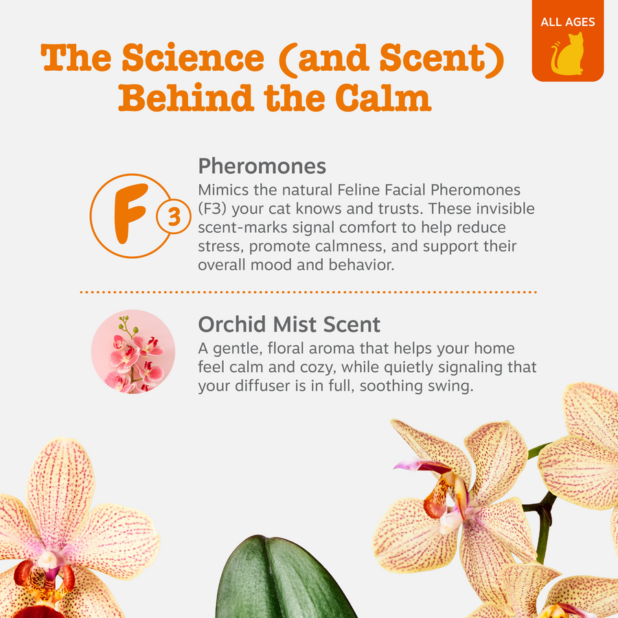 Cat Calming Diffuser Starter Kit - 30 Day Supply