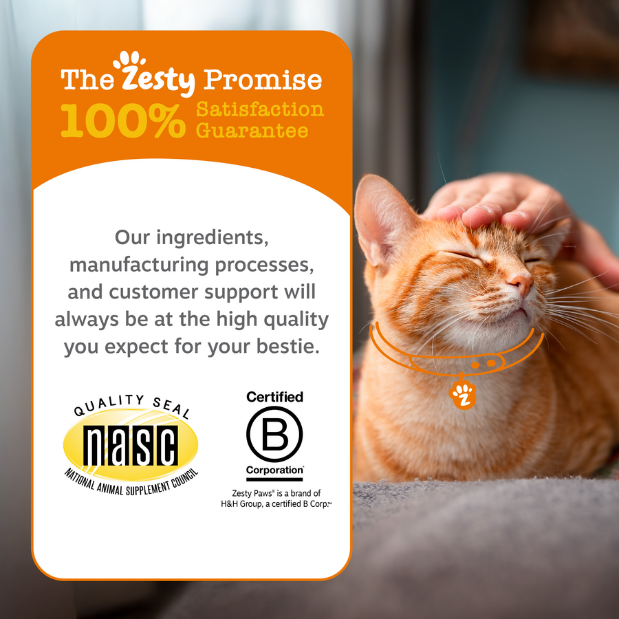 Cat Calming Diffuser Starter Kit - 30 Day Supply