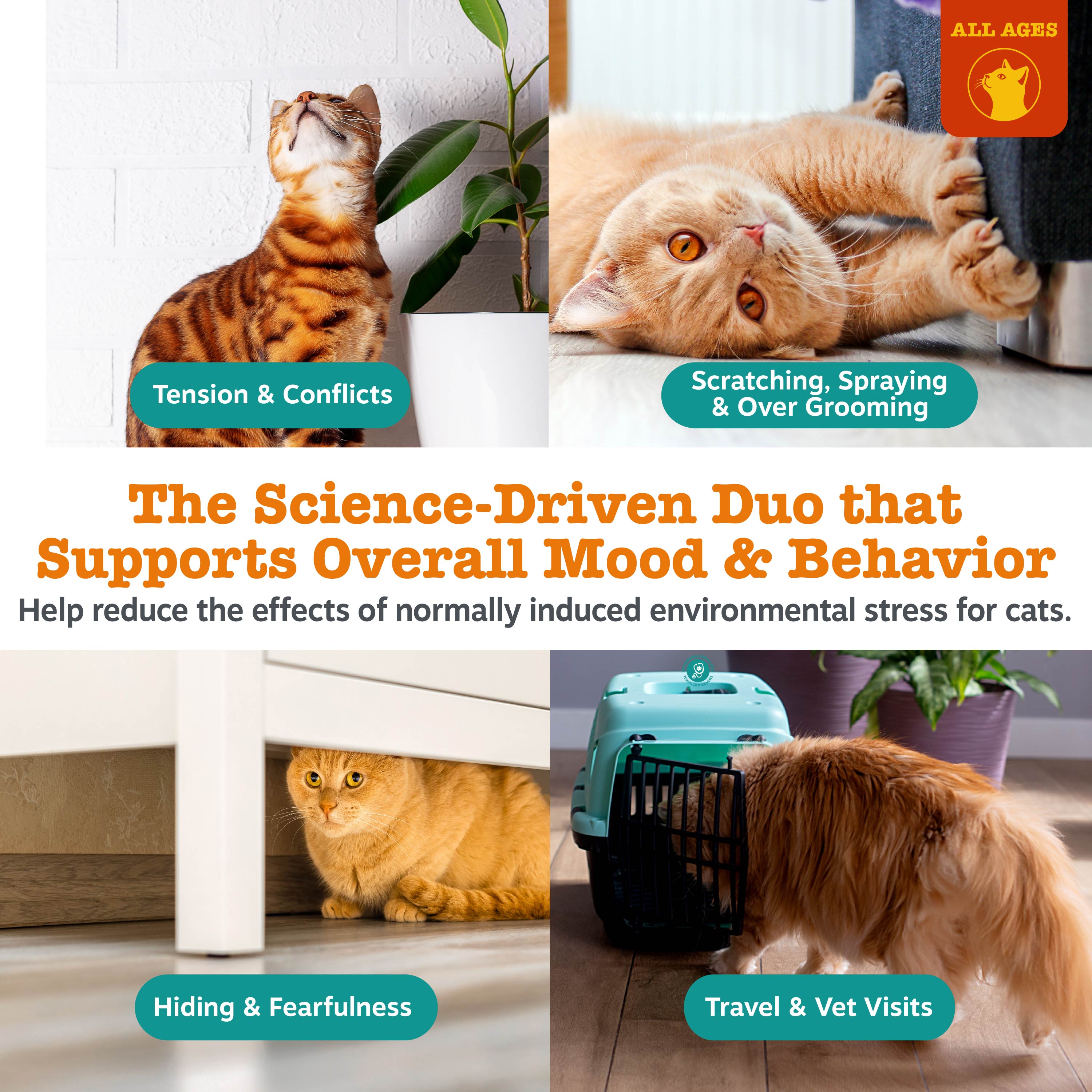 Diffuser Refill + Calming Bites | Bundle for Cats