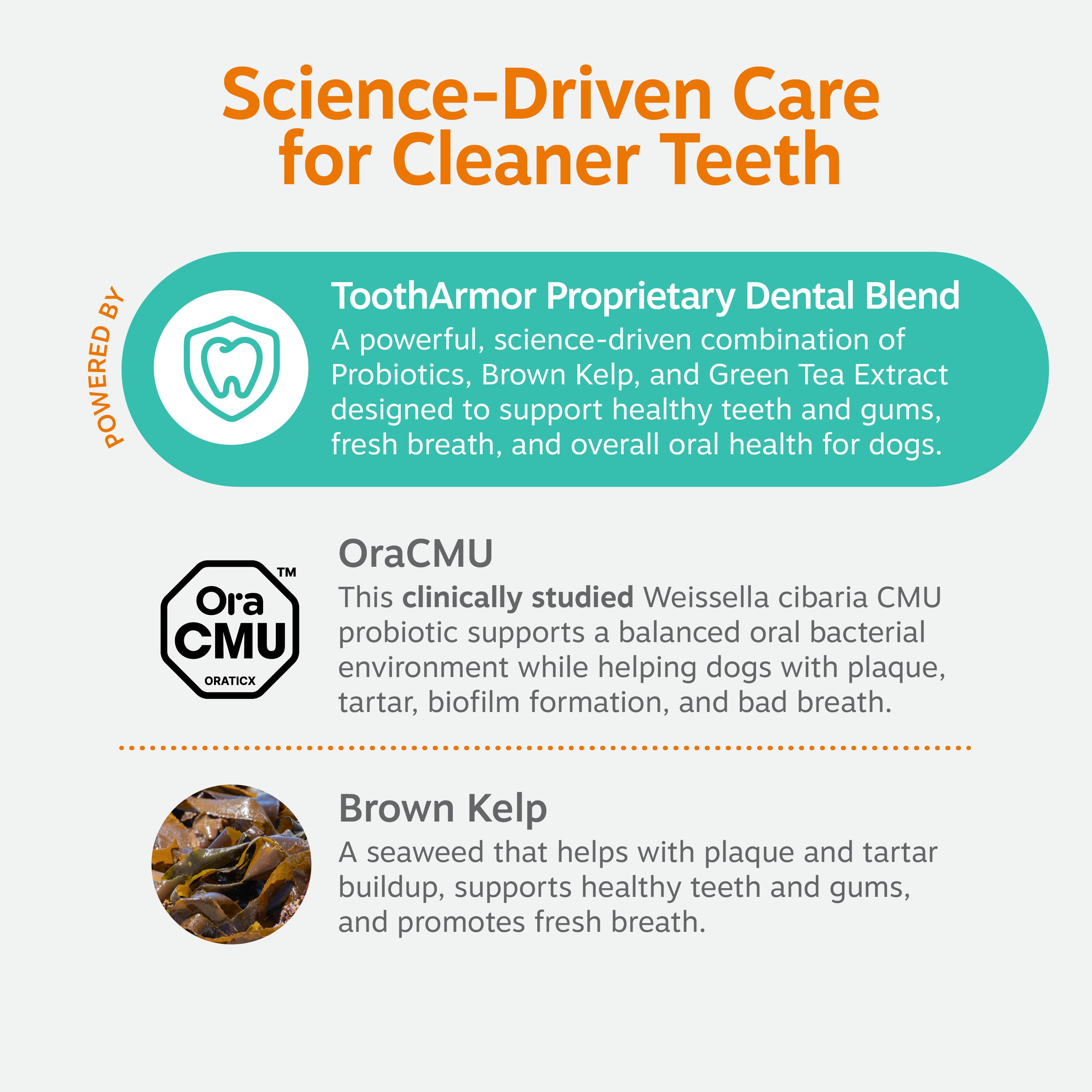 Dental Probiotic Powder for Dogs