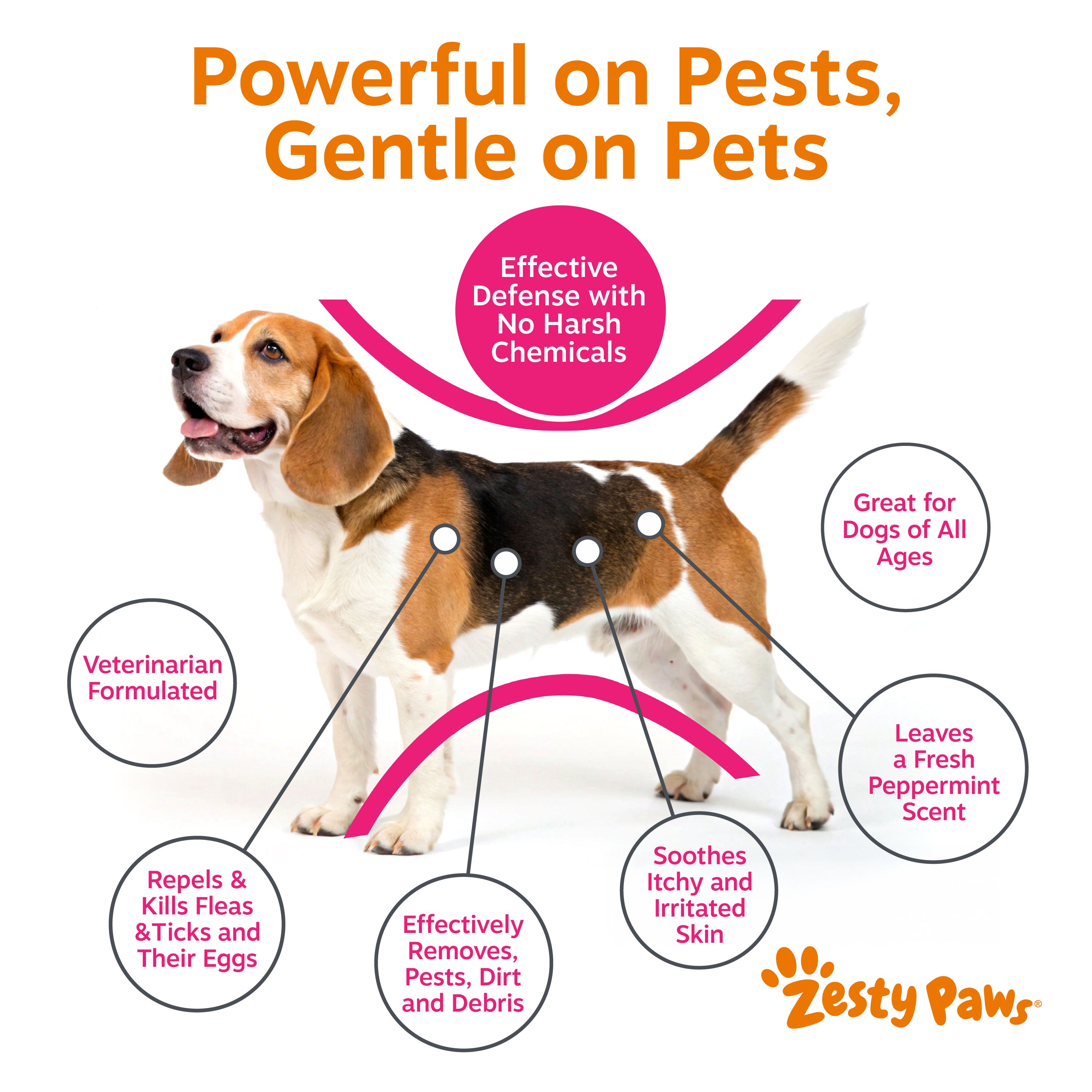Flea & Tick Shampoo for Dogs
