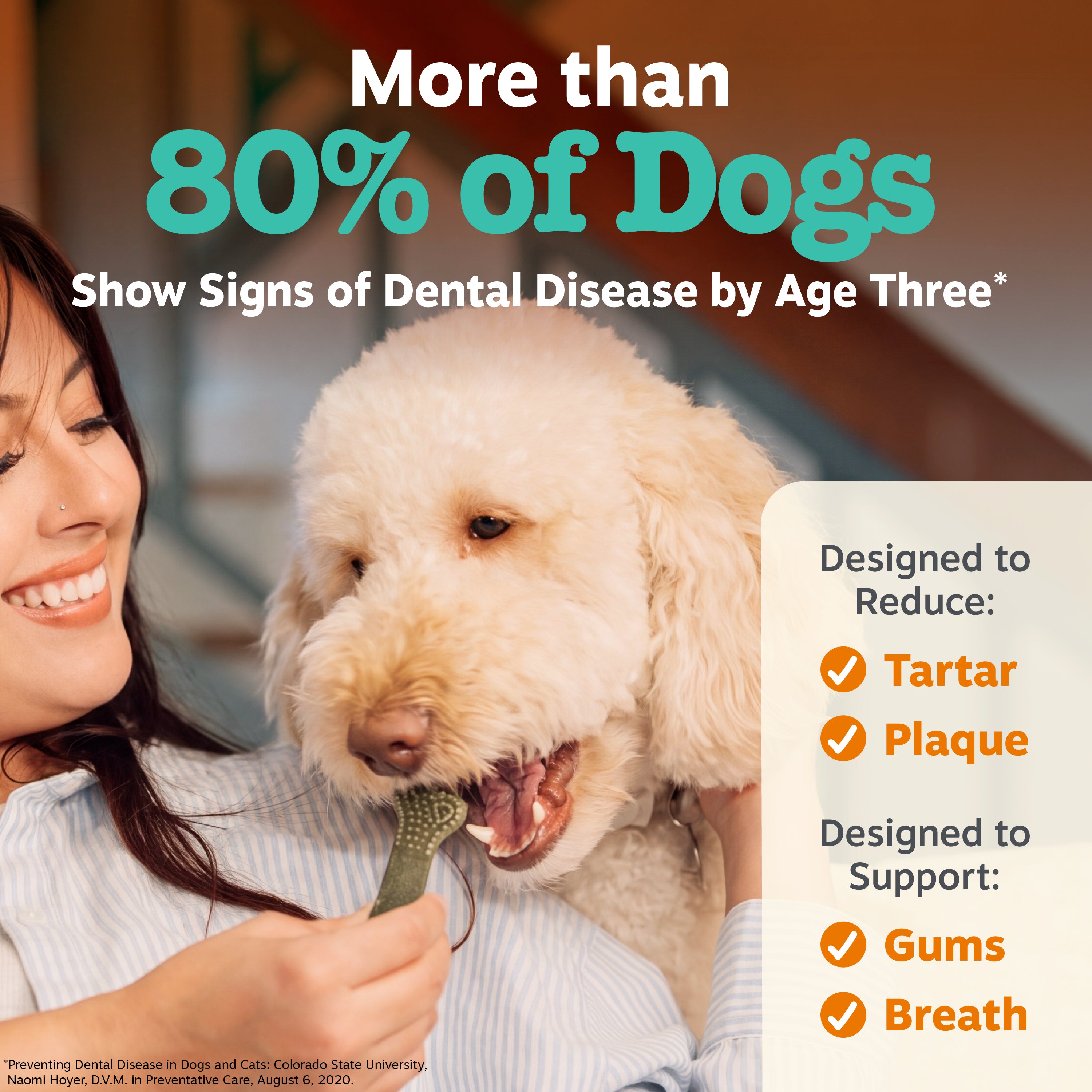Dental Bones 2.0 for Medium Sized Dogs