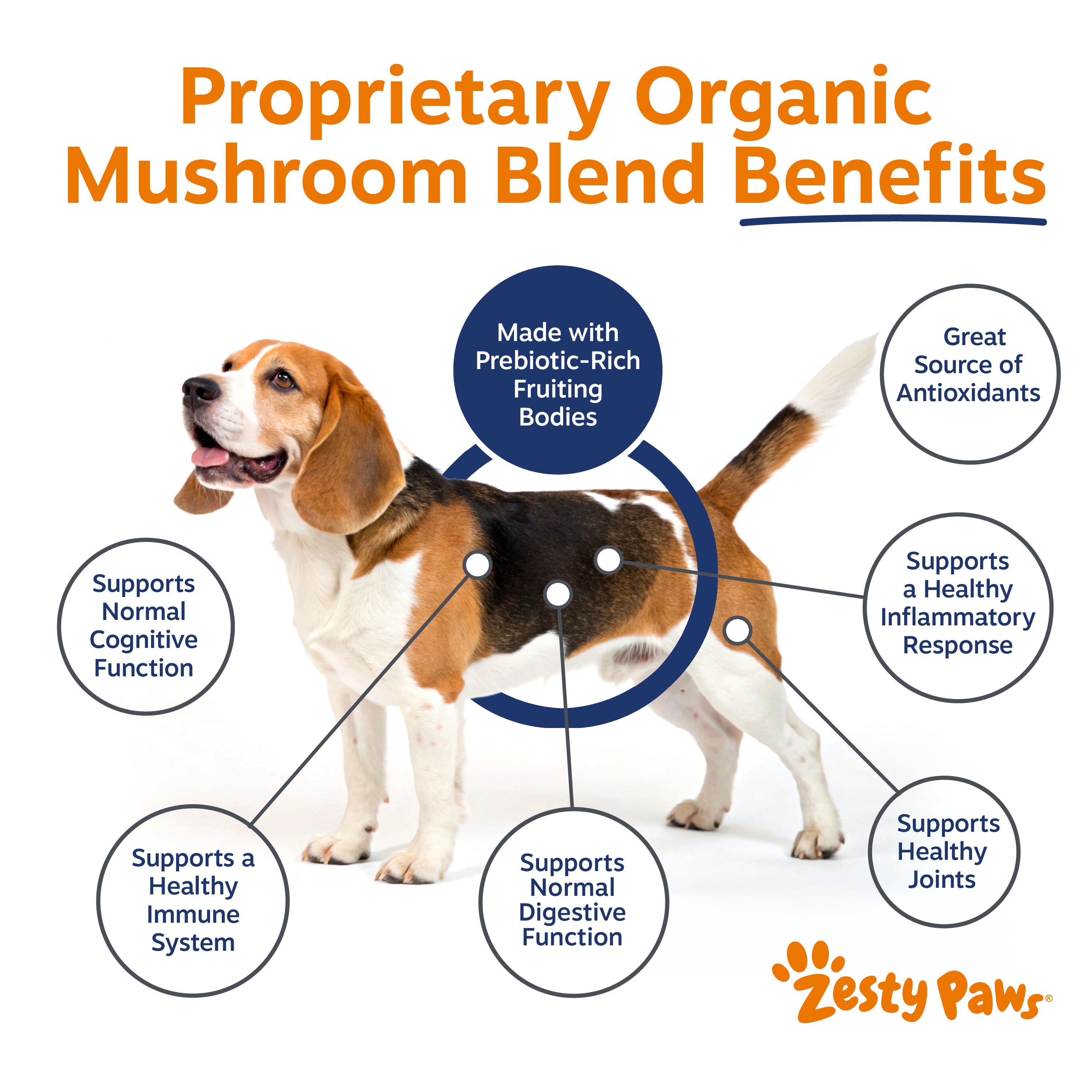 Mushroom Powder for Dogs