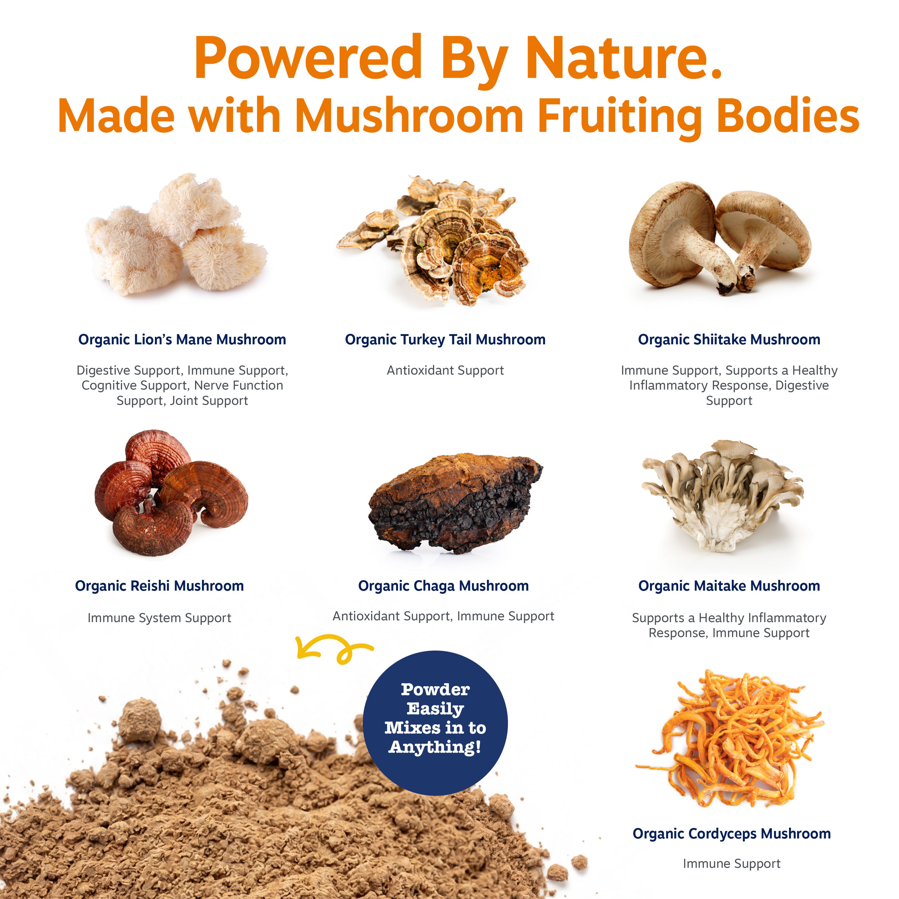 Mushroom Powder for Dogs