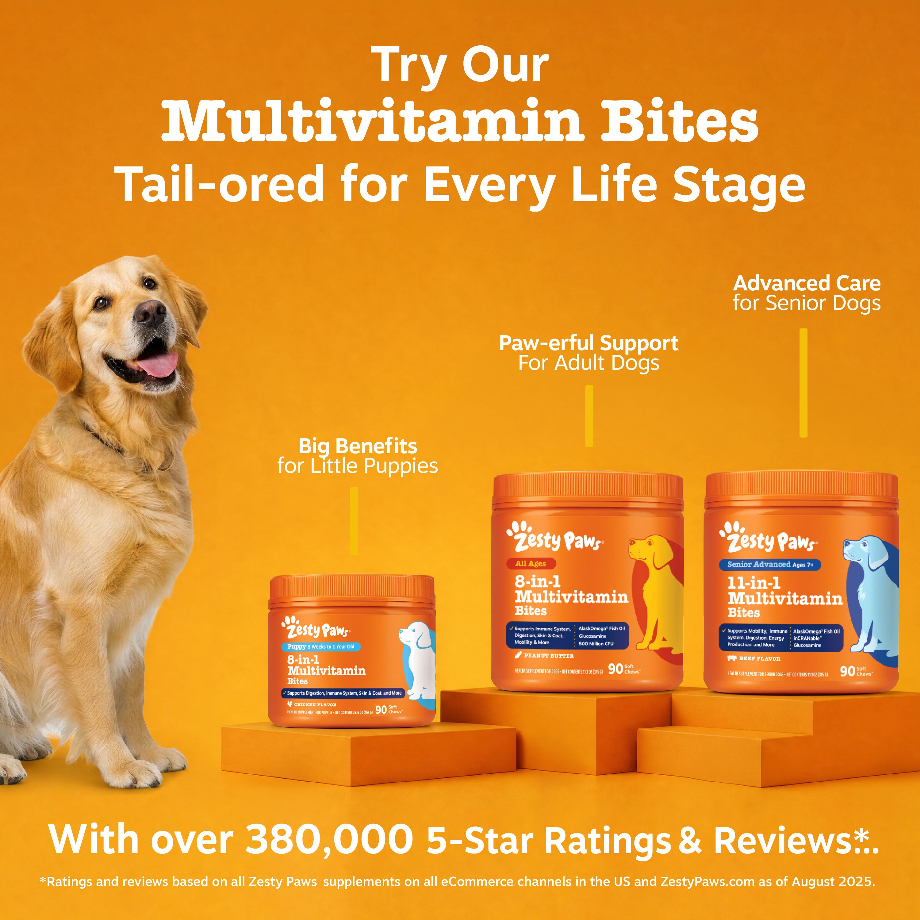 Mushroom Powder for Dogs