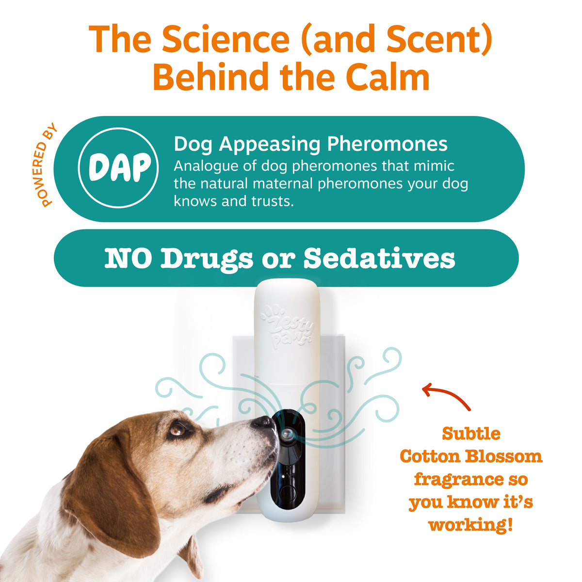 Calming Diffuser Starter Kit for Dogs