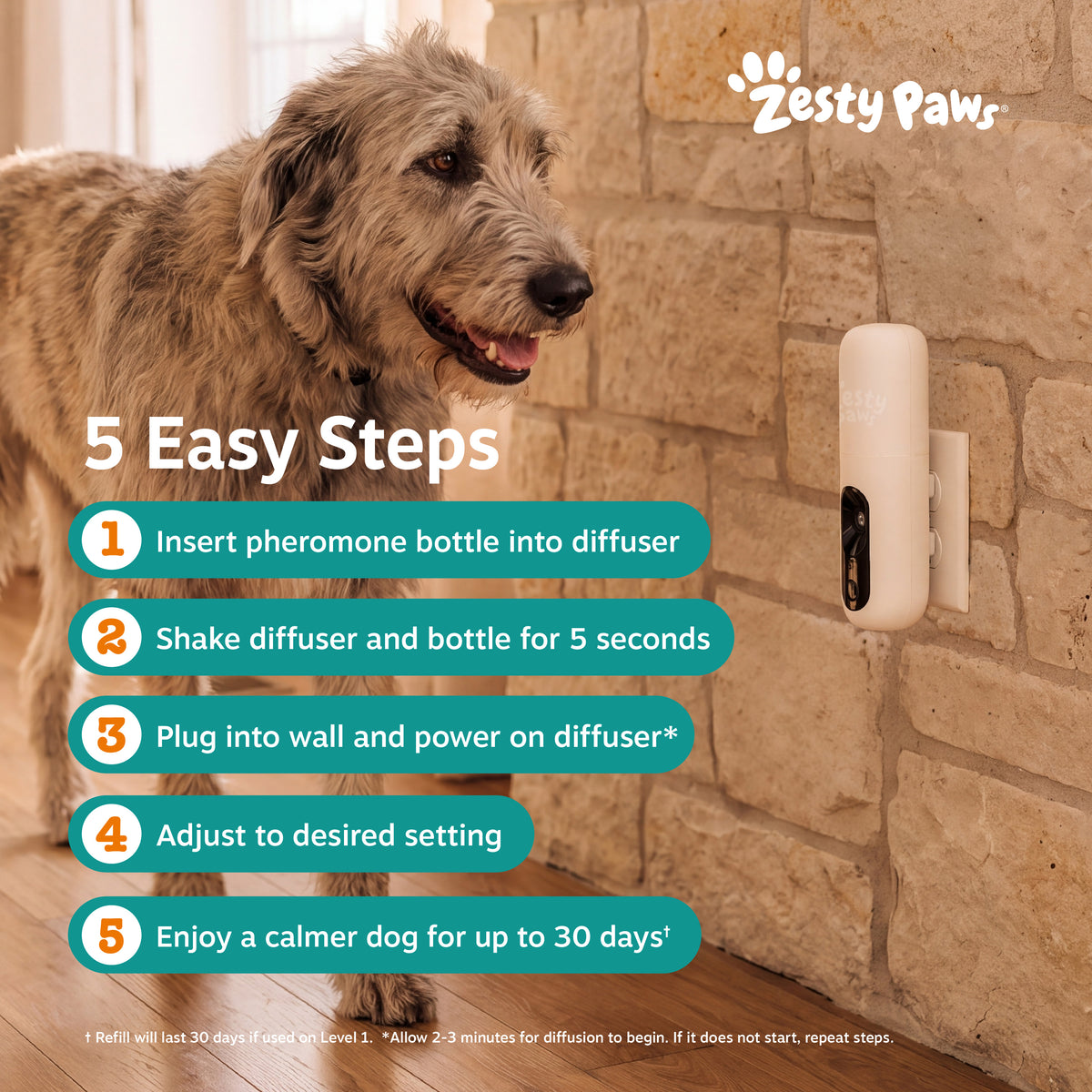 Calming Diffuser Starter Kit for Dogs