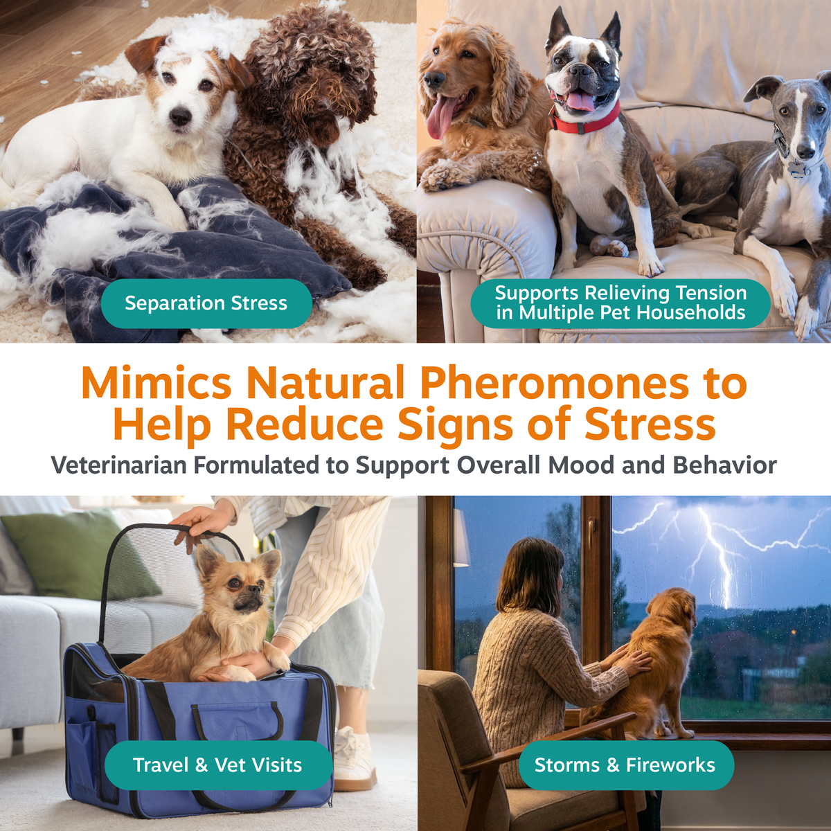 Calming Diffuser Refill for Dogs
