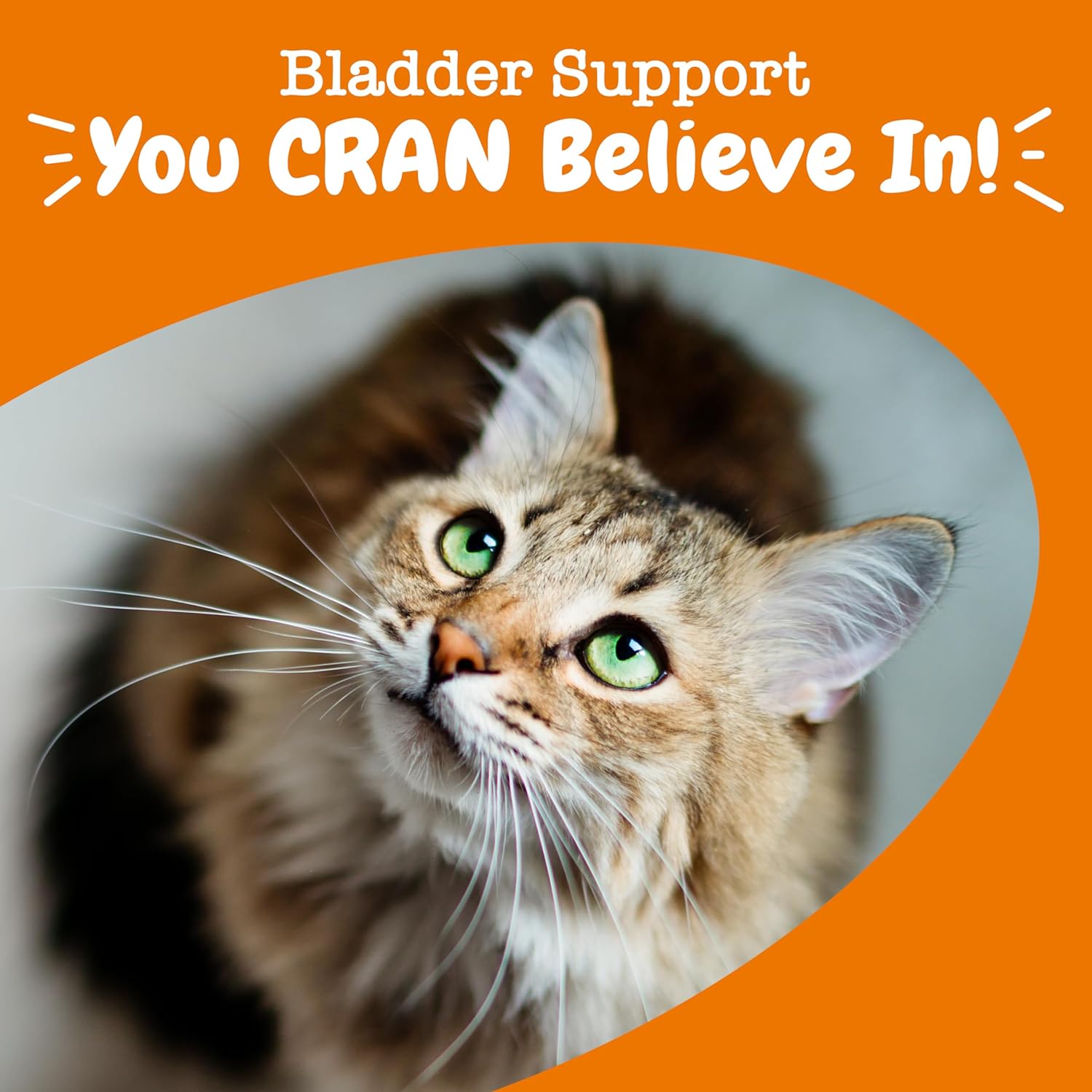 Cranberry Bladder Bites™ for Cats