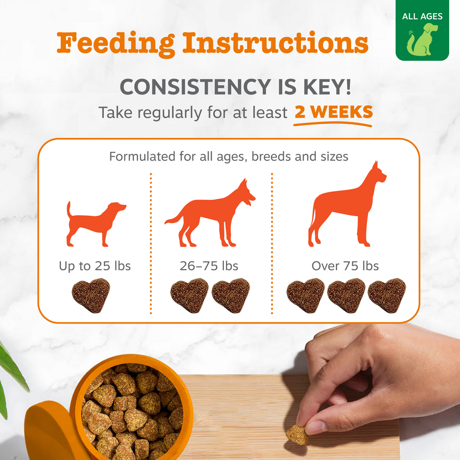 Hemp Elements™ Allergy & Immune Bites for Dogs