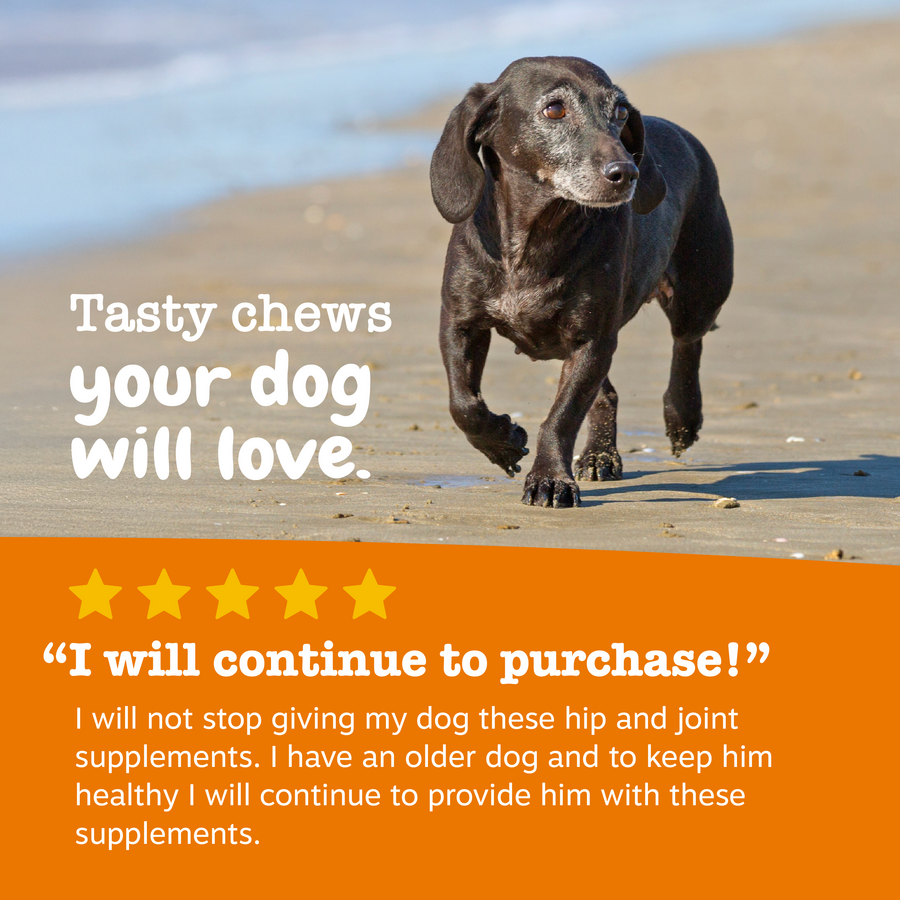 Hemp Elements™ Mobility Bites™ for Dogs
