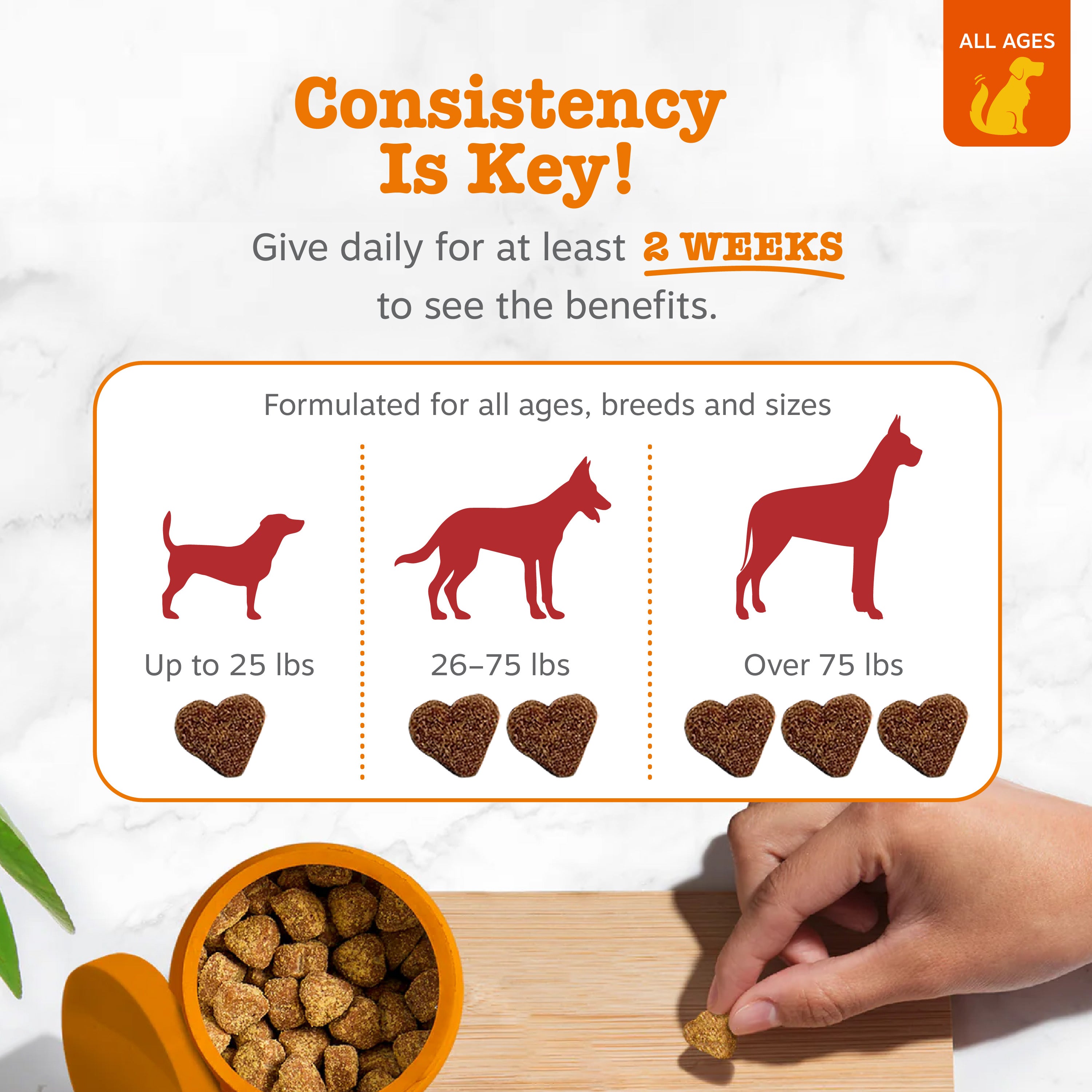 Senior Advanced Urinary Tract Bites for Dogs