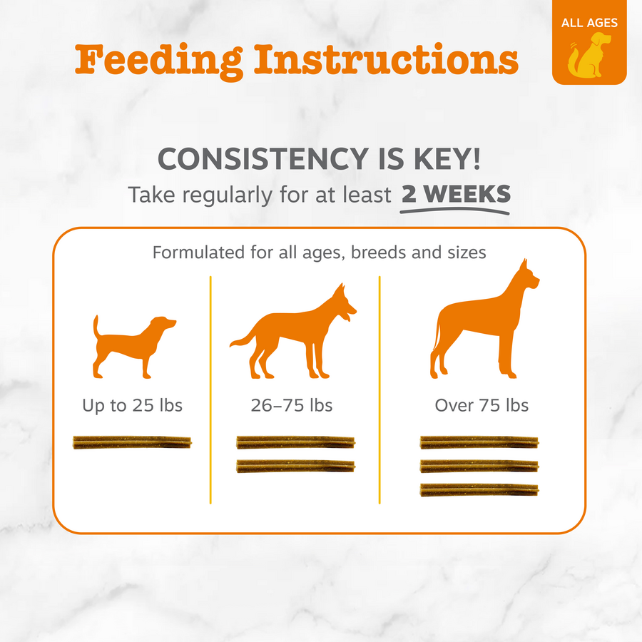 Hemp Elements™ Probiotic OraStix™ for Dogs