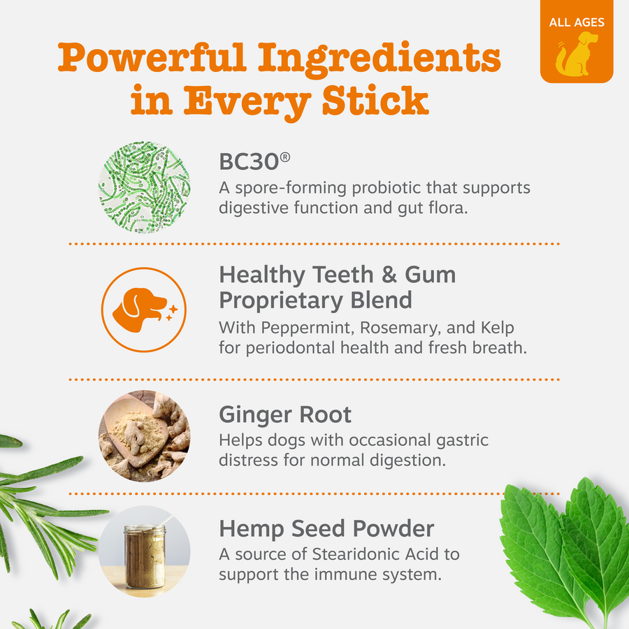 Hemp Elements™ Probiotic OraStix™ for Dogs