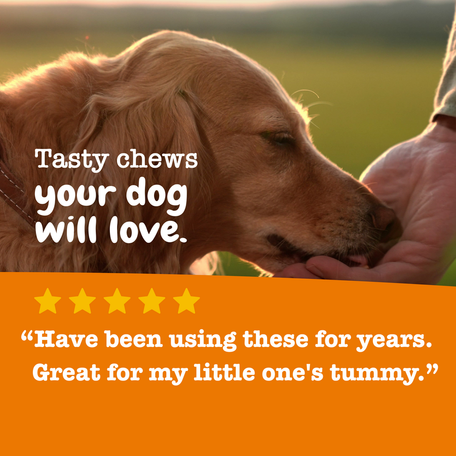 Hemp Elements™ Probiotic OraStix™ for Dogs