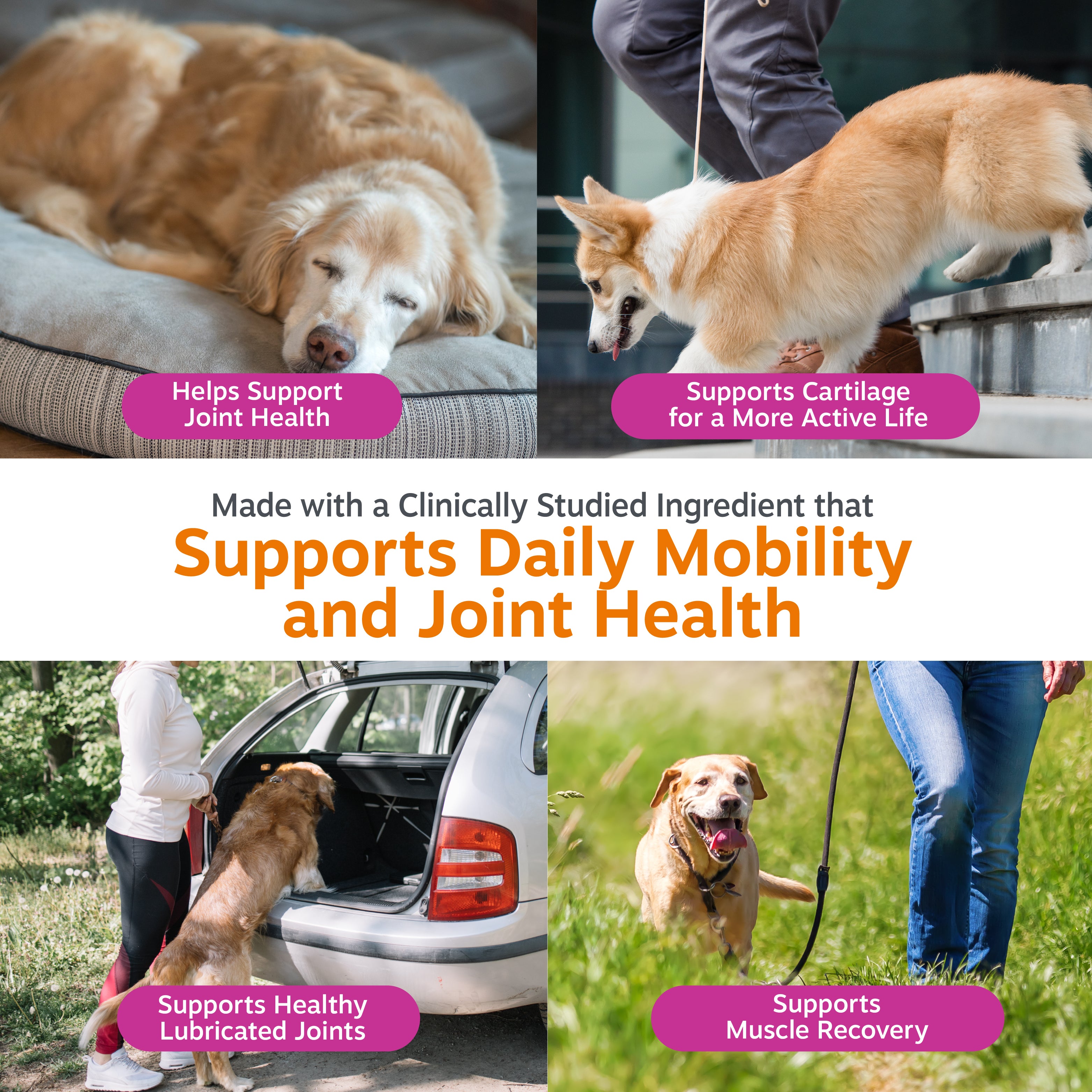Hip & Joint Bites for Dogs