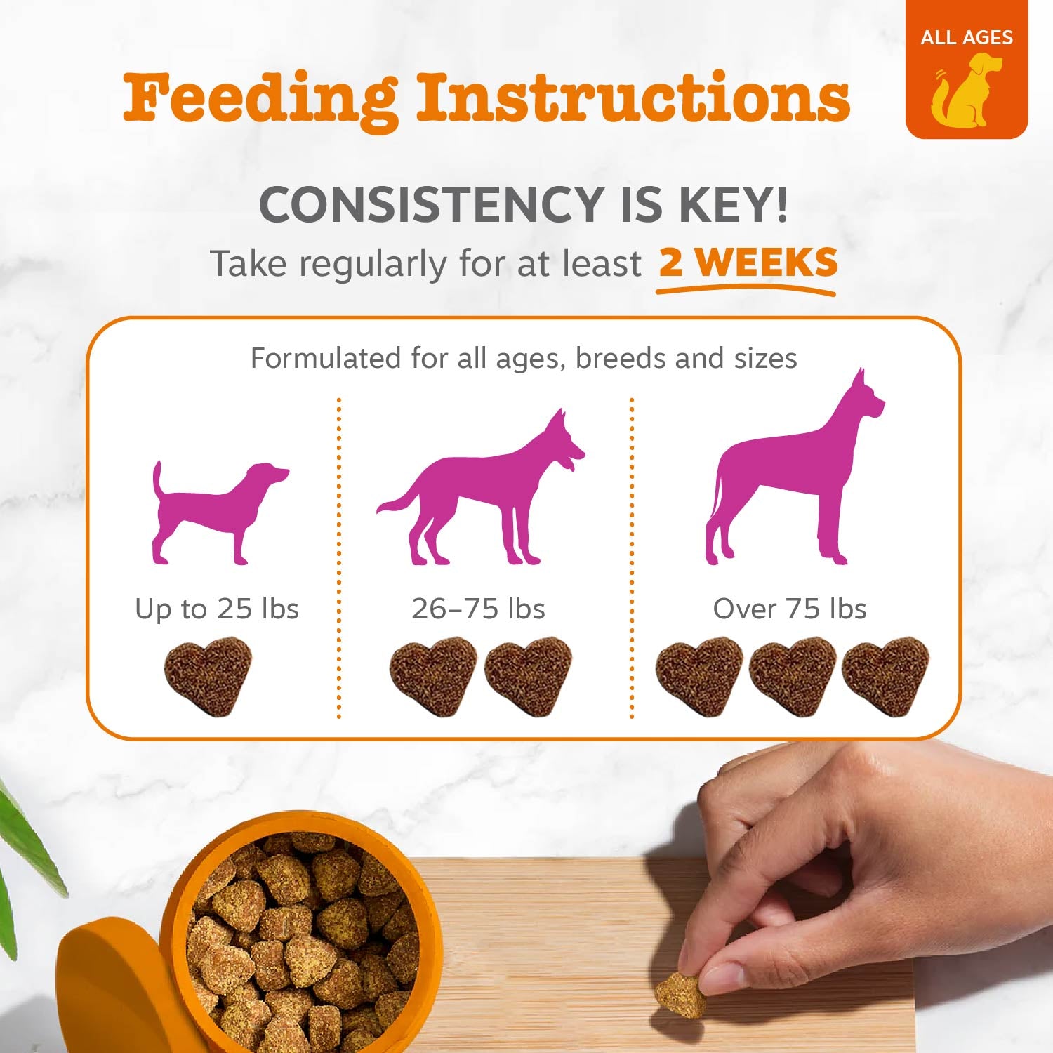 Skin & Coat Bites + Salmon Oil Soft Chews for Dogs