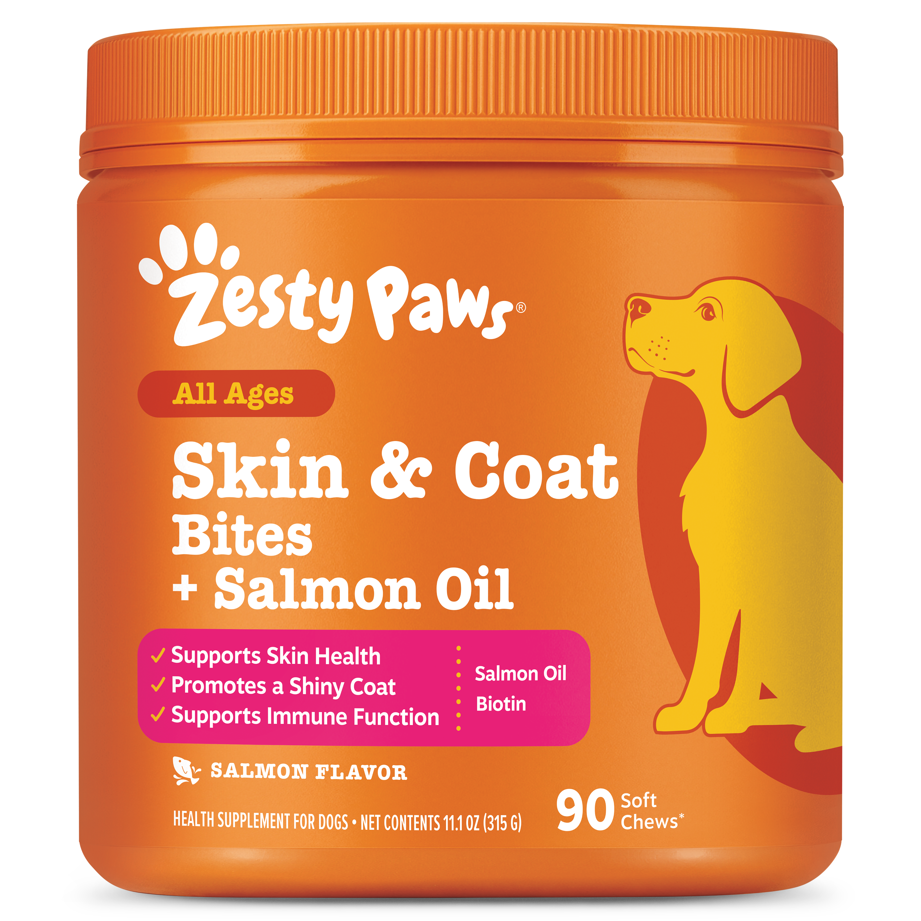 Skin & Coat Bites + Salmon Oil Soft Chews for Dogs