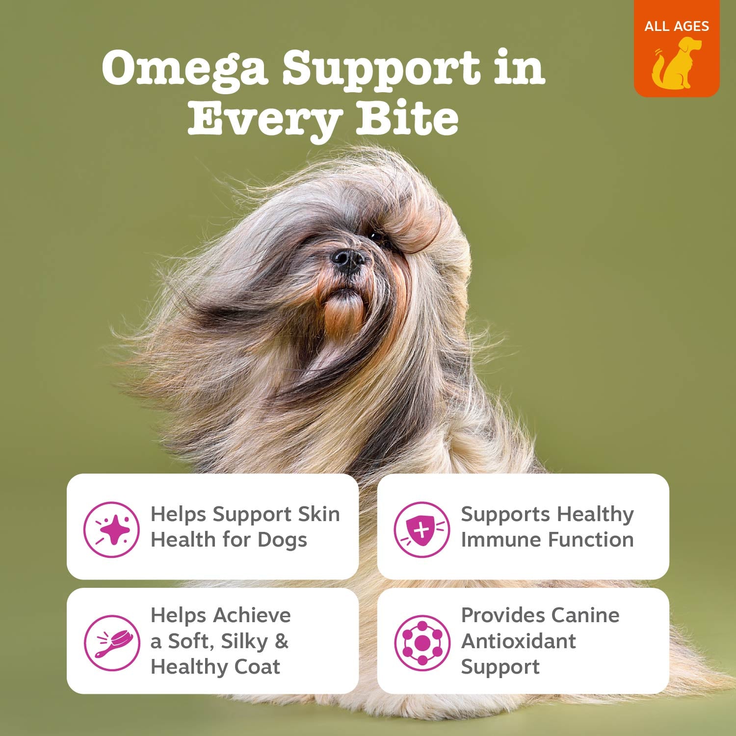 Skin & Coat Bites + Salmon Oil Soft Chews for Dogs
